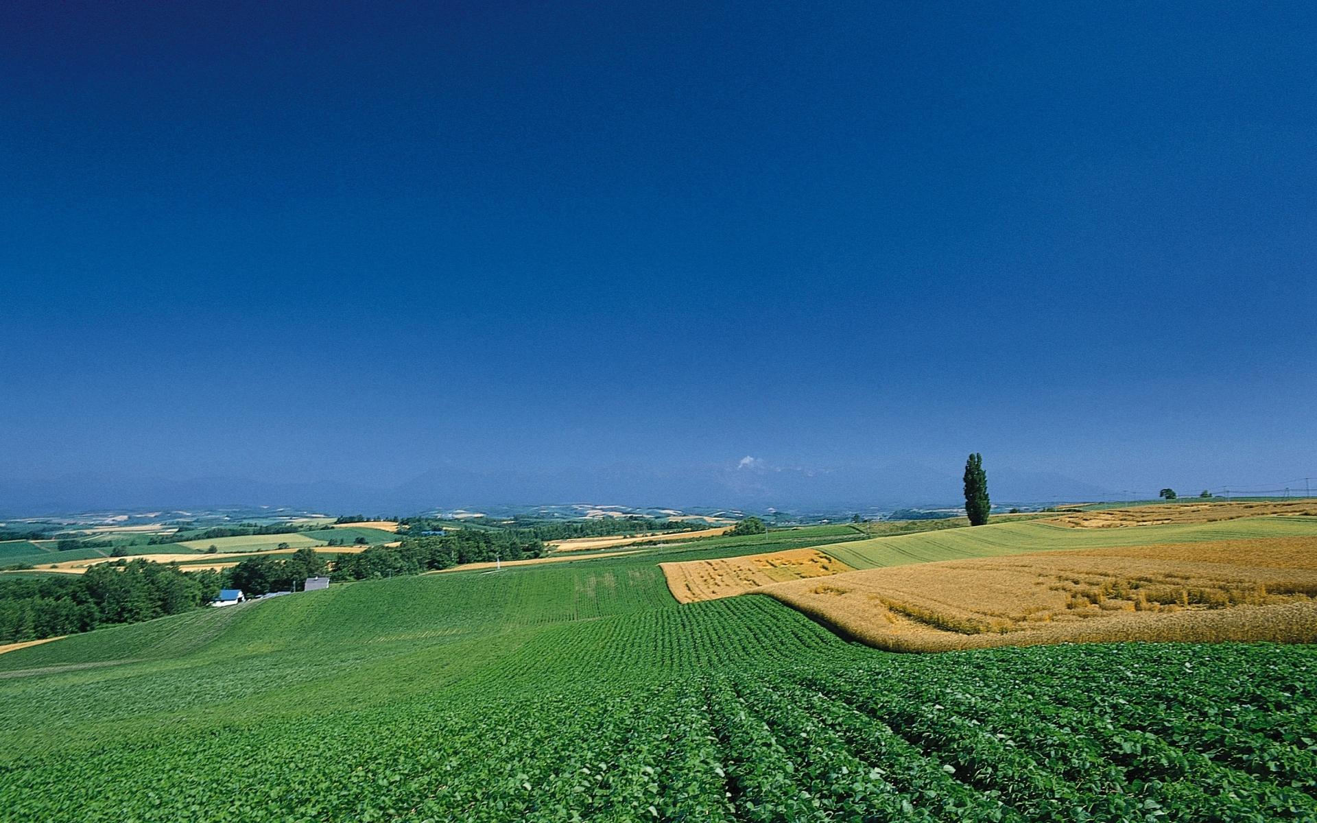 1920x1200 Leaning Farm Land & Sky wallpaper. Leaning Farm Land & Sky