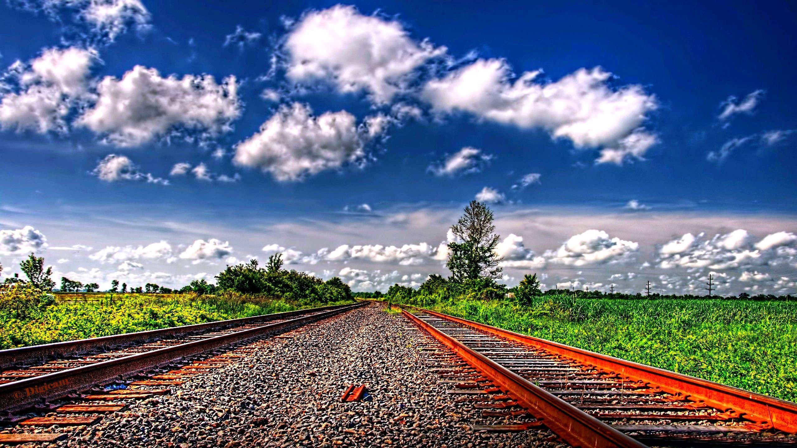 2560x1440 Blue Sky Nature Wallpaper