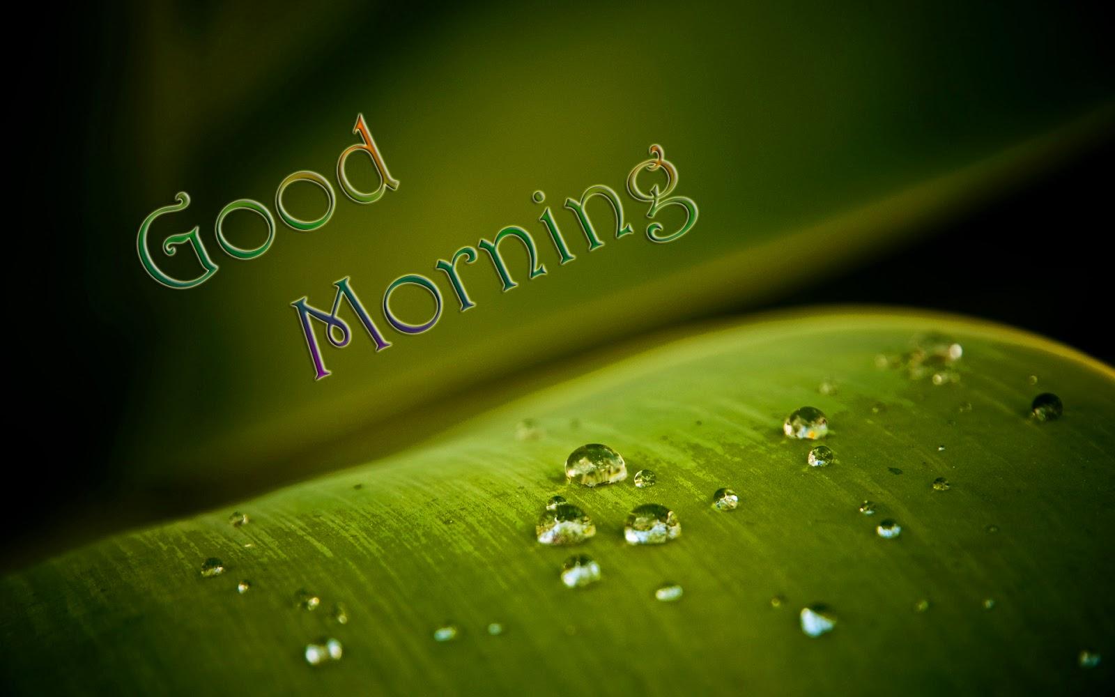 1600x1000 Beautiful Good Morning Wallpaper