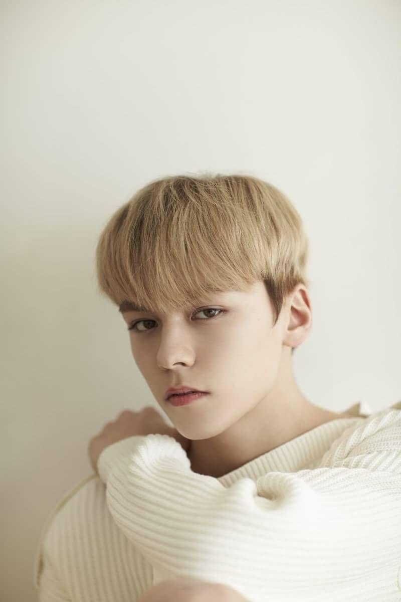 800x1200 SEVENTEEN GLOBAL on