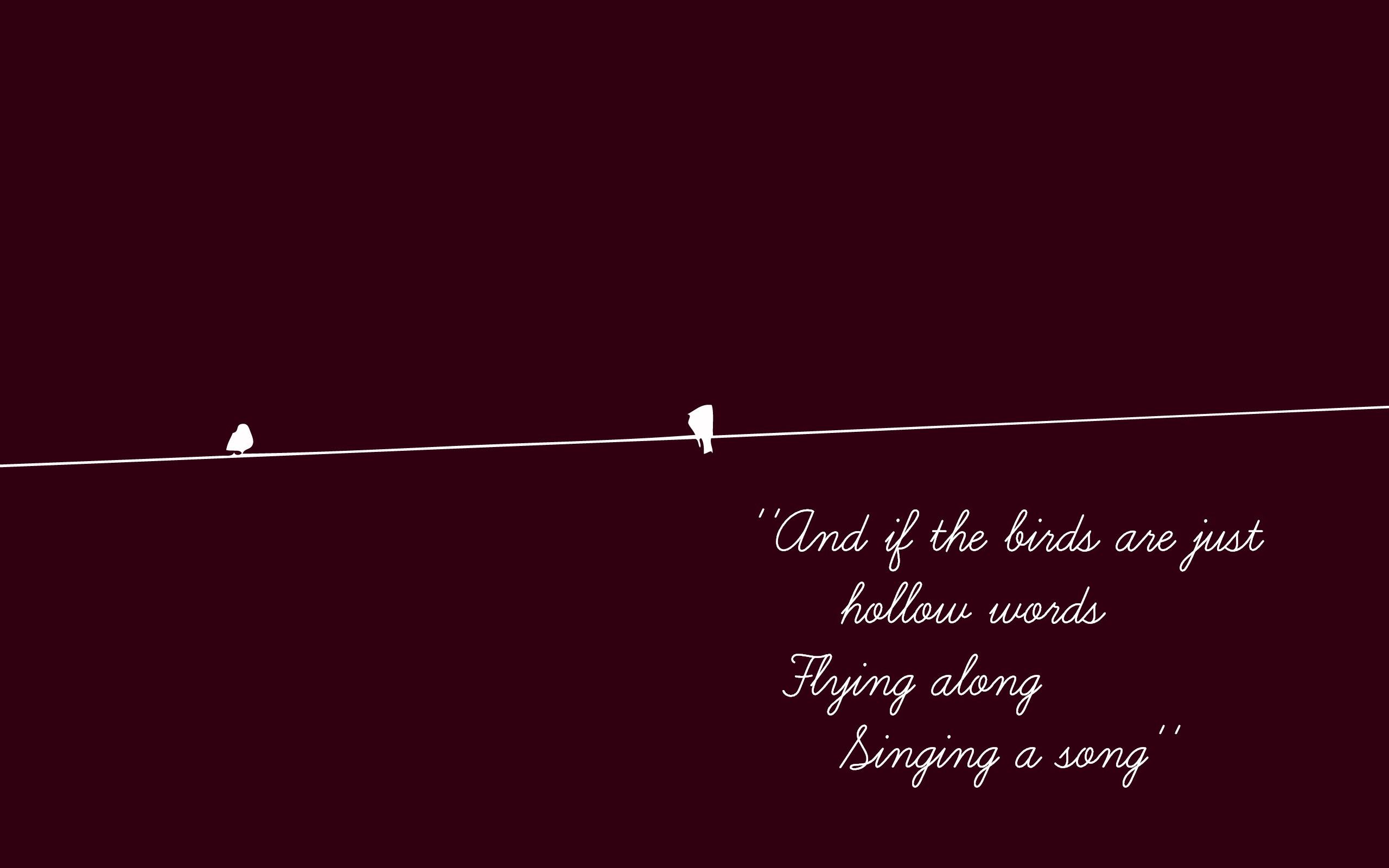 2560x1600 Panic at the Disco