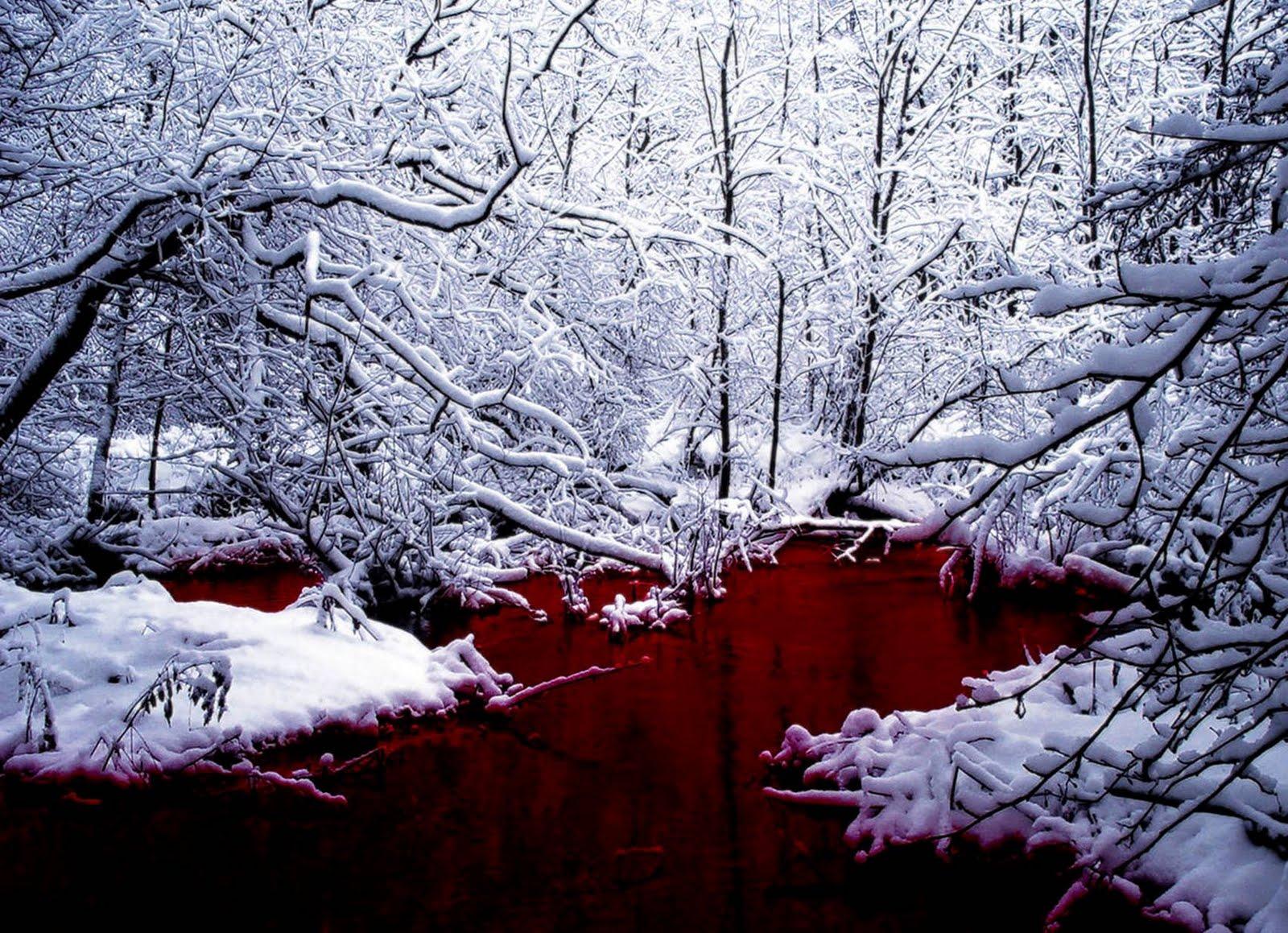 1600x1159 20++ Dark Winter Desktop Wallpaper