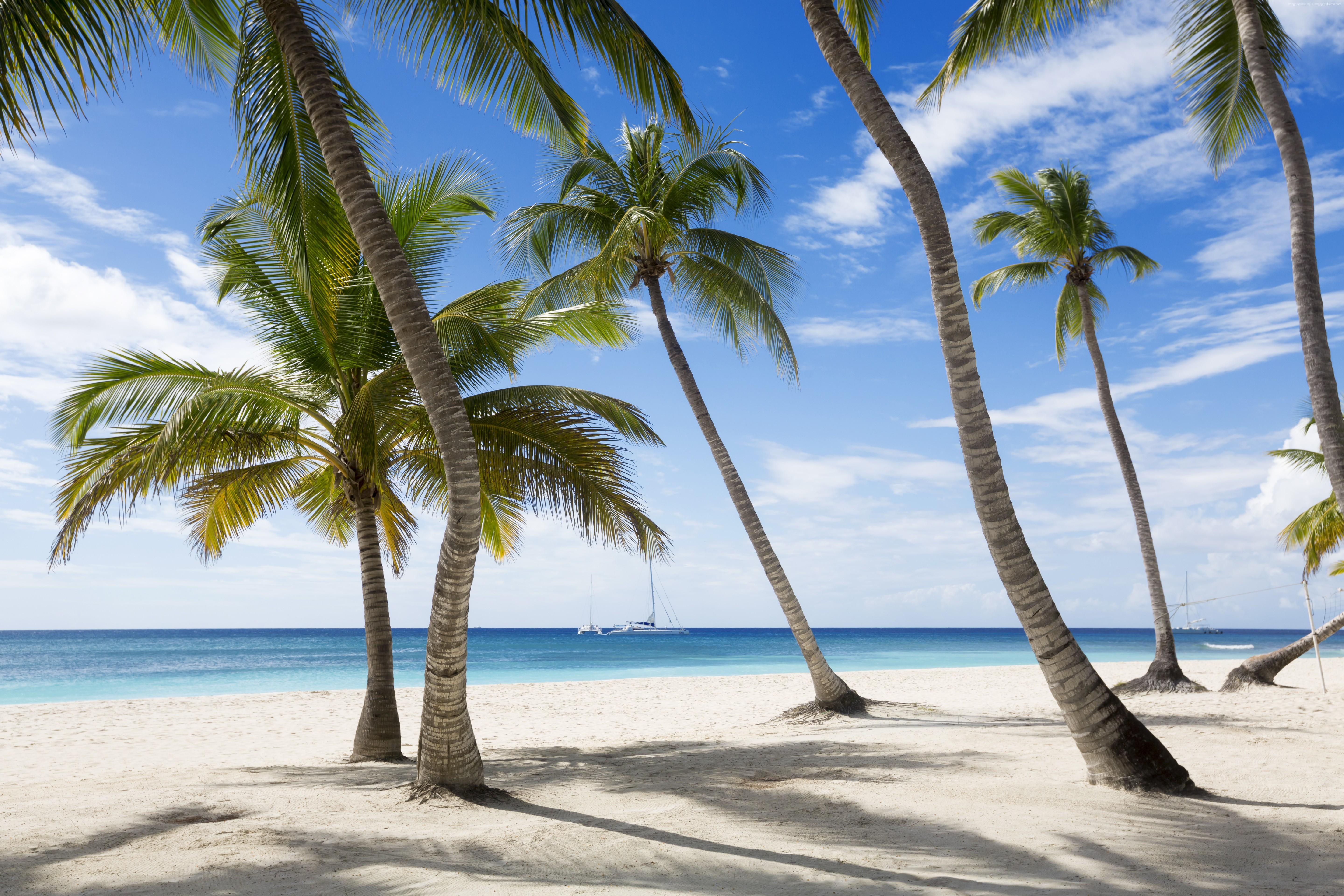 5760x3840 k, #palms, #travel, #sky, #beach, #tourism, k wallpaper, #The Caribbean, #Jamaika. Mocah HD Wallpaper