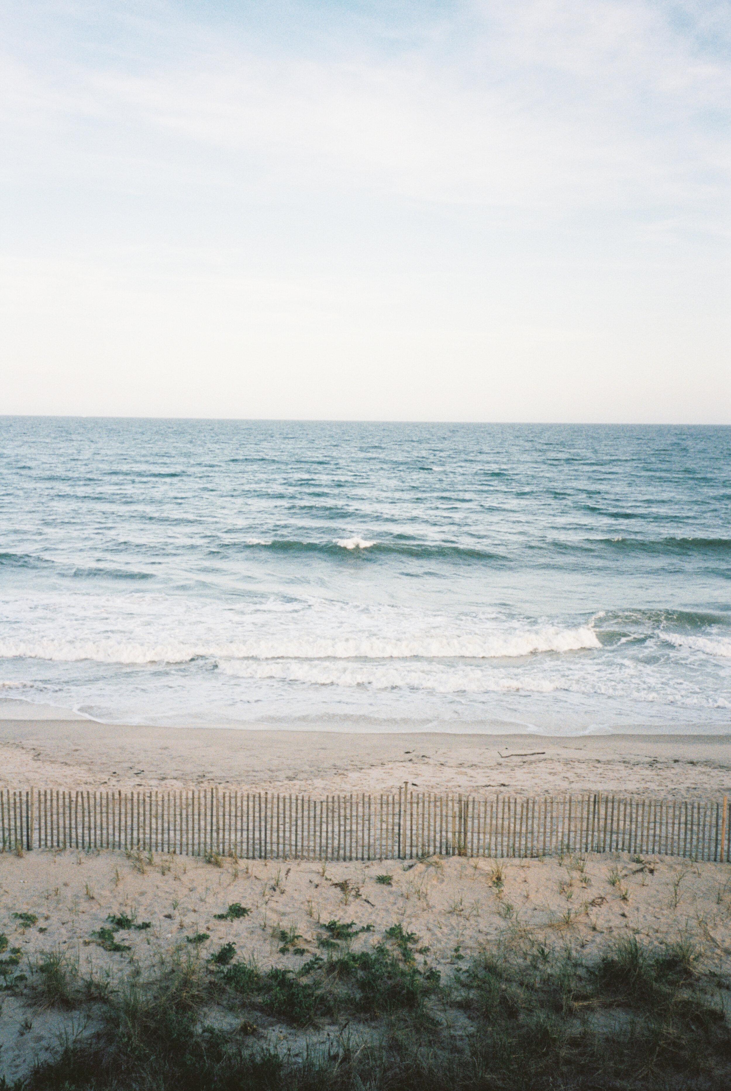 2500x3732 Marram. Montauk, NY