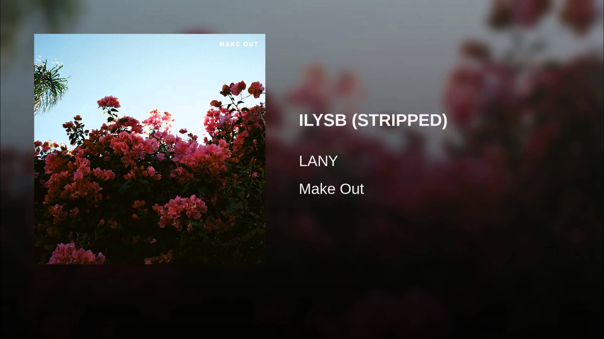 1920x1080 LANY Wallpaper
