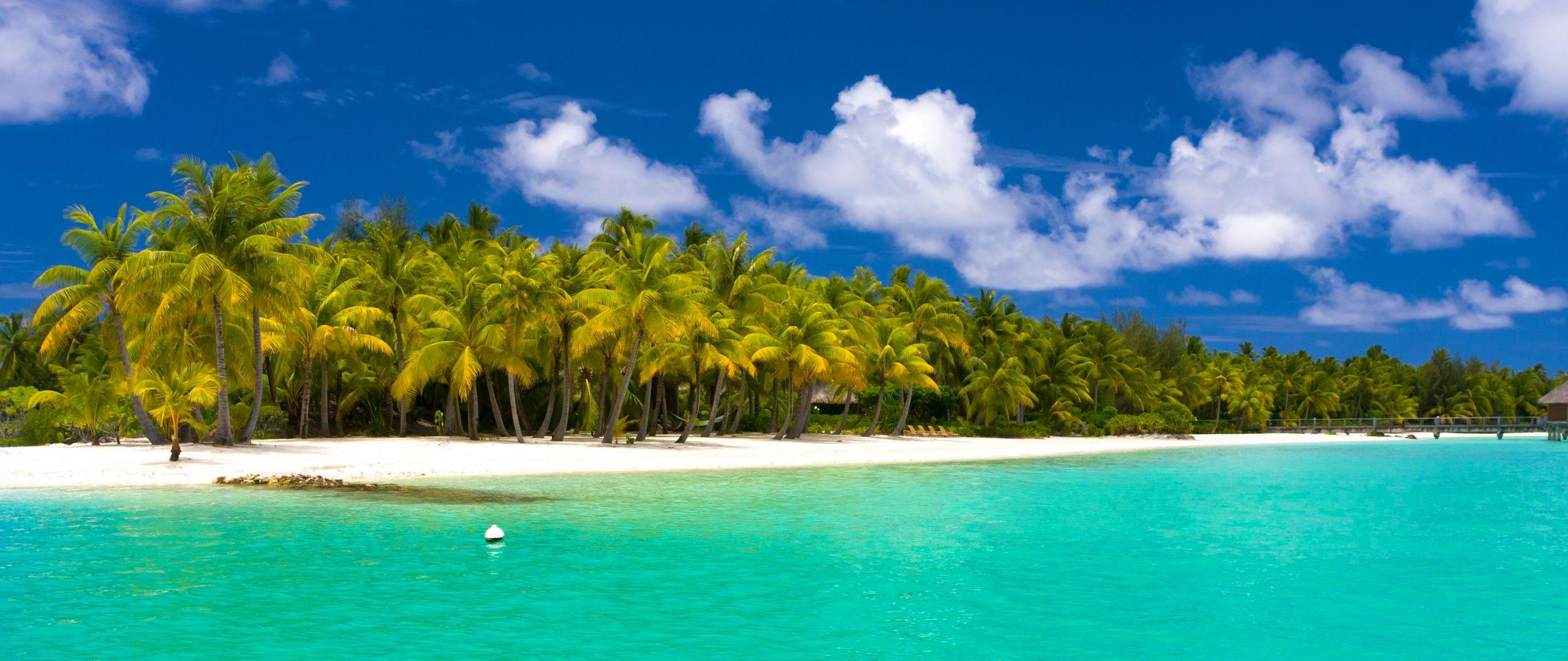2560x1080 Download wallpaper 2560x1080 summer, maldives, tropical, beach, palm trees dual wide 1080p HD background