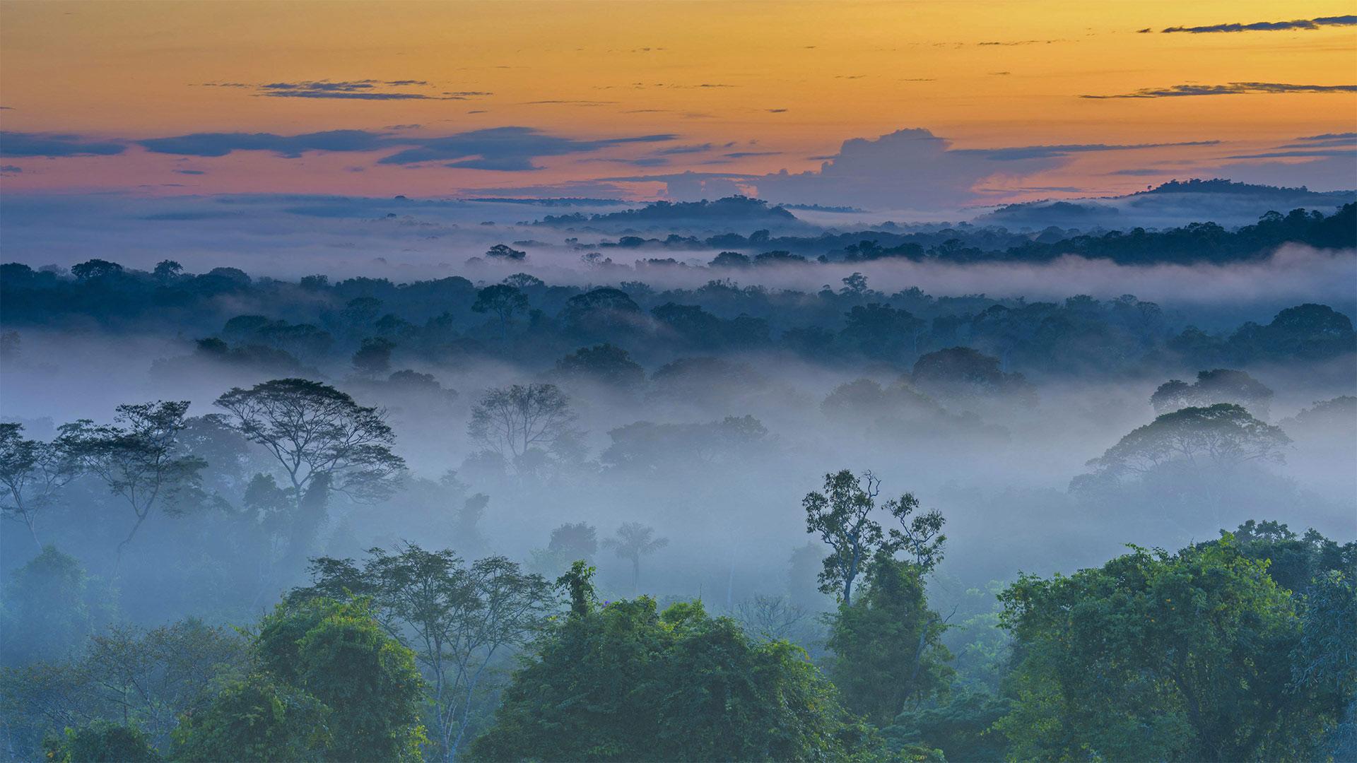 1920x1080 Bing image: A misty morning in Brazil Wallpaper Gallery