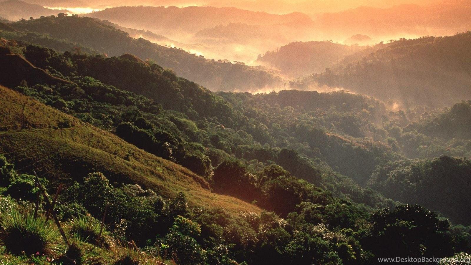 1600x900 Amazon Rainforest, Brazil & South America For Nokia Wallpaper 8. Desktop Background