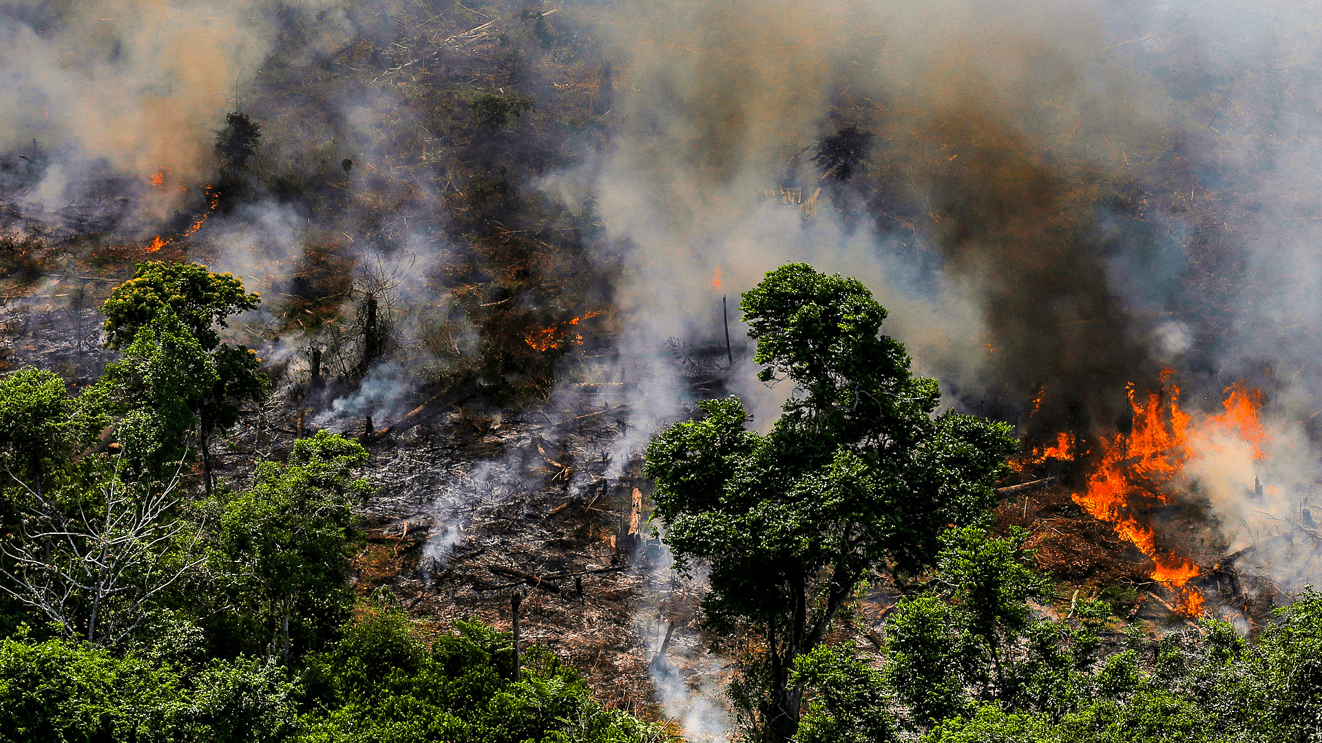 1920x1080 Brazil fight Amazon rainforest fires-[1920×1080]: wallpaper