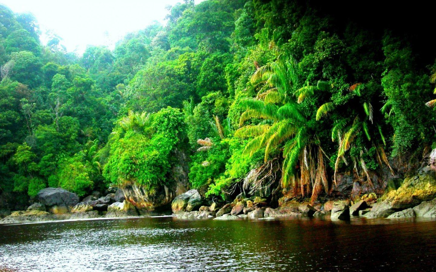 1440x900 Amazon River Size