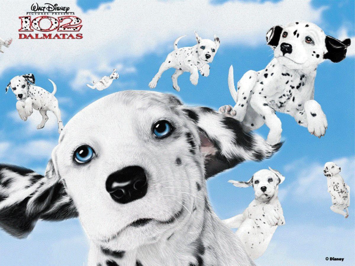 1200x900 Disney HD Wallpaper: 102 Dalmatians HD Wallpaper