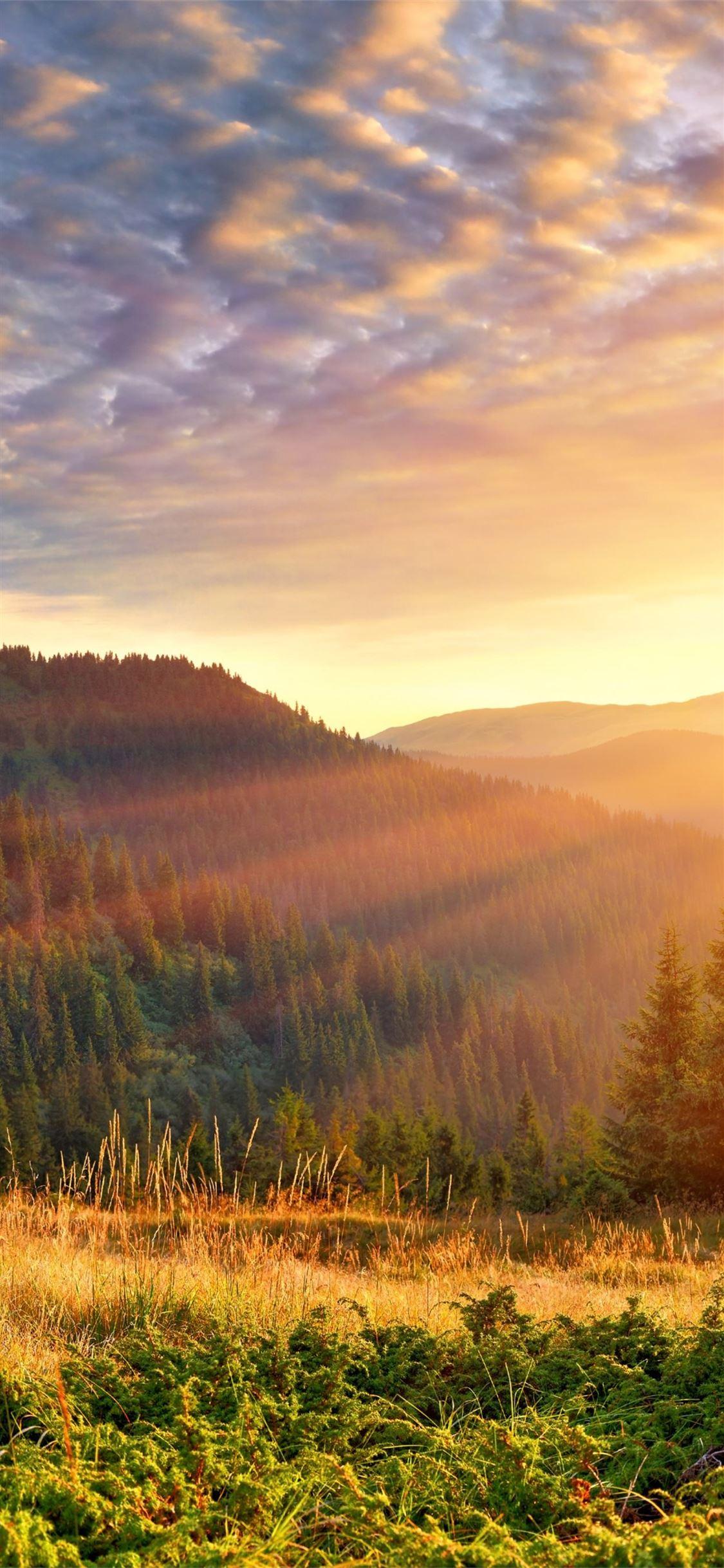 1125x2436 mountain scenery morning sun rays 4k iPhone X Wallpaper Free Download