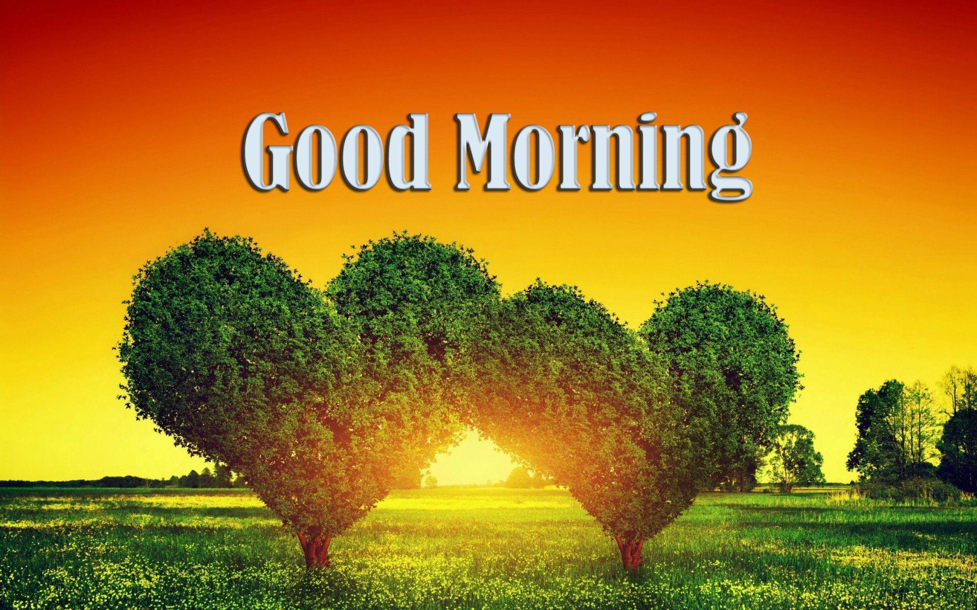 1920x1200 Good Morning HD Image Freeto5animations.com Wallpaper, Gifs, Background, Image