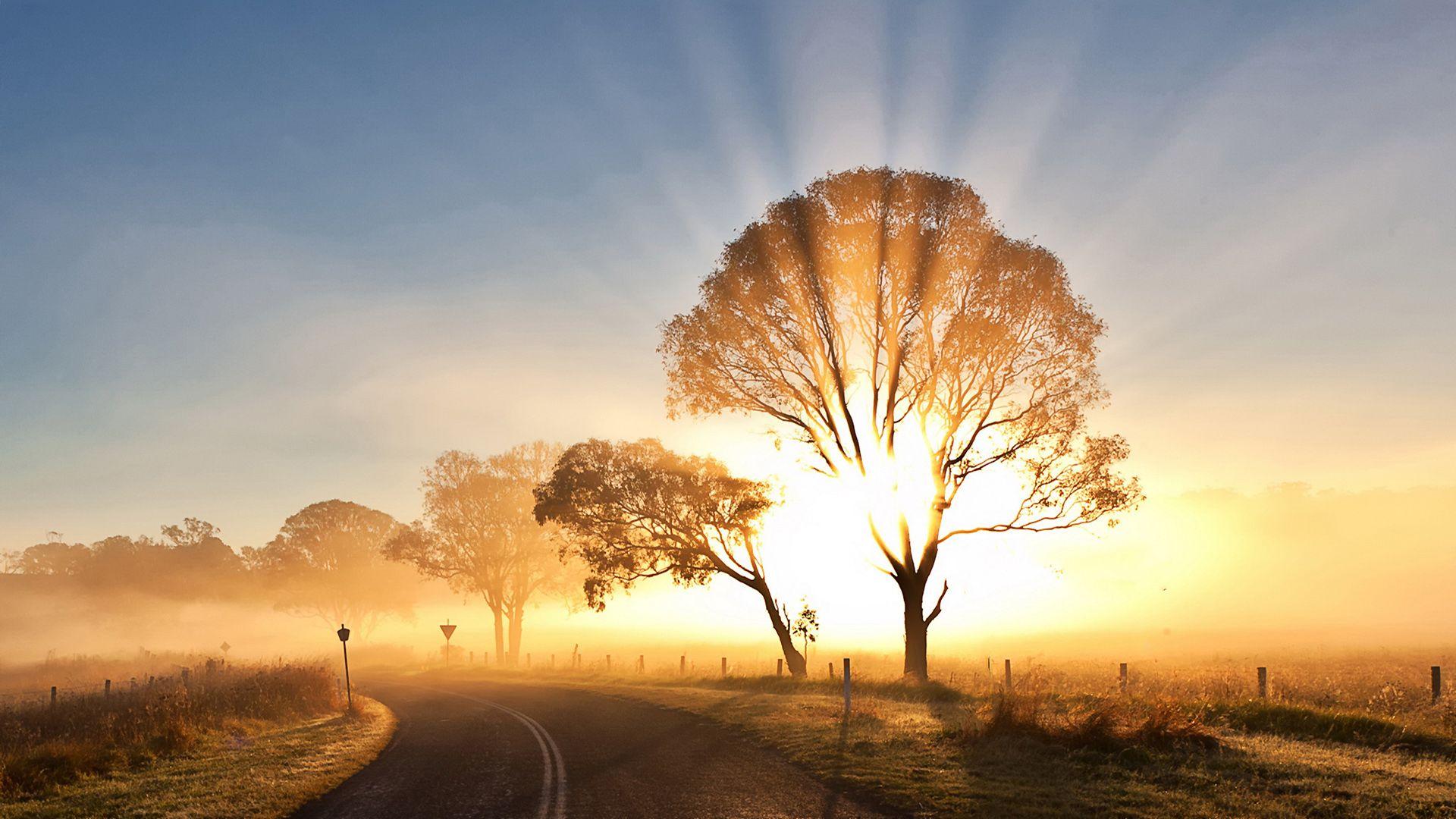 1920x1080 Morning Sun Wallpaper