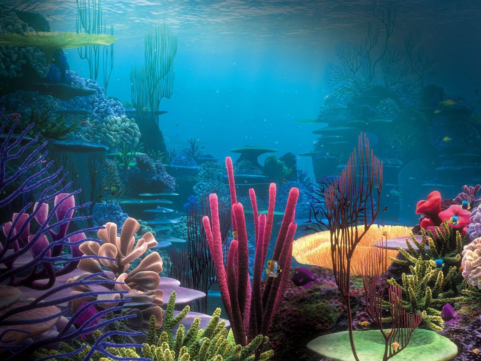 1600x1200 clear, colorful, colors, cool, coral reefs, crab, desktop, digital. Underwater wallpaper, Underwater background, Aquarium background