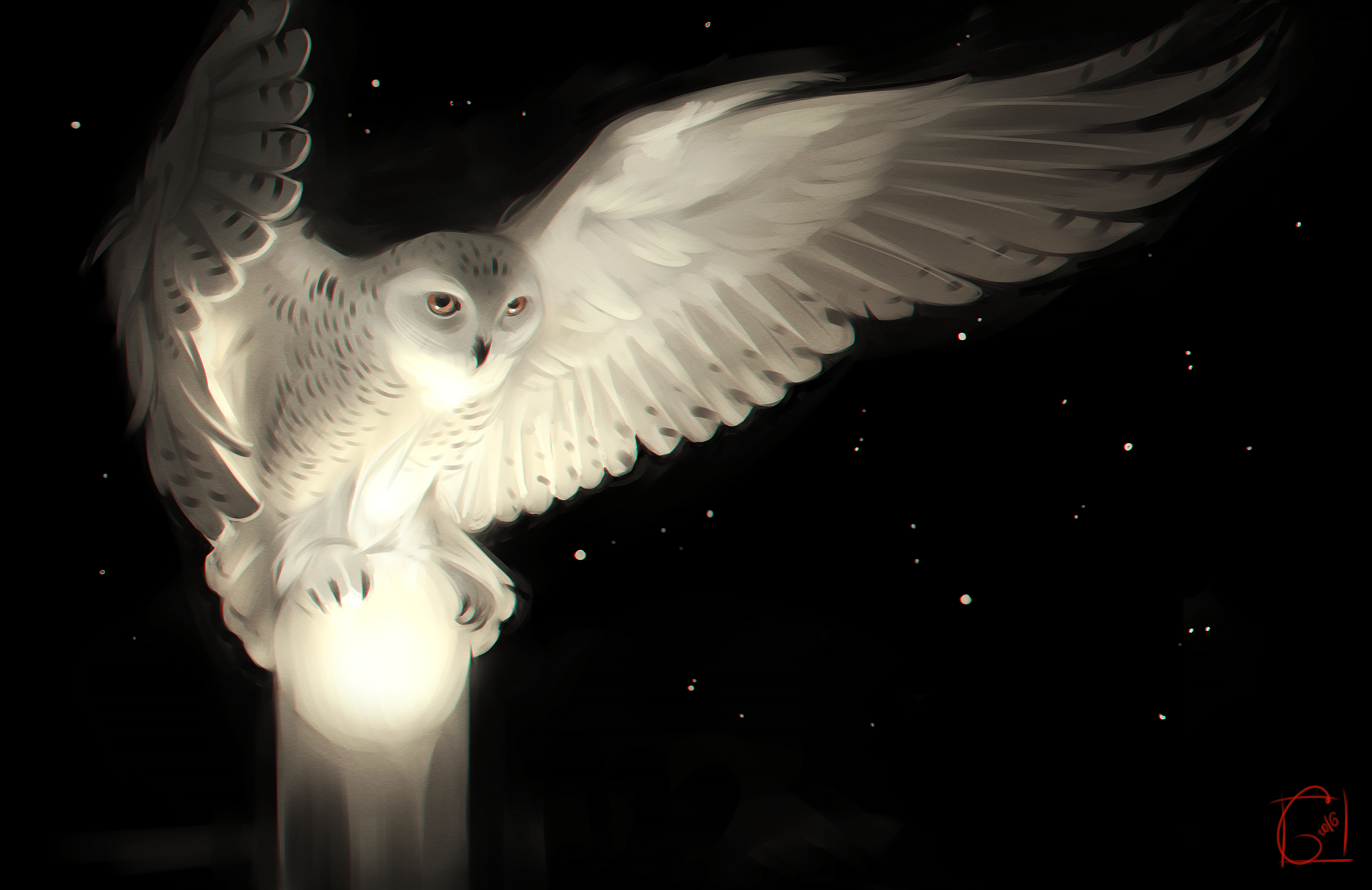 3425x2222 #owl, #digital art, wallpaper. Mocah HD Wallpaper