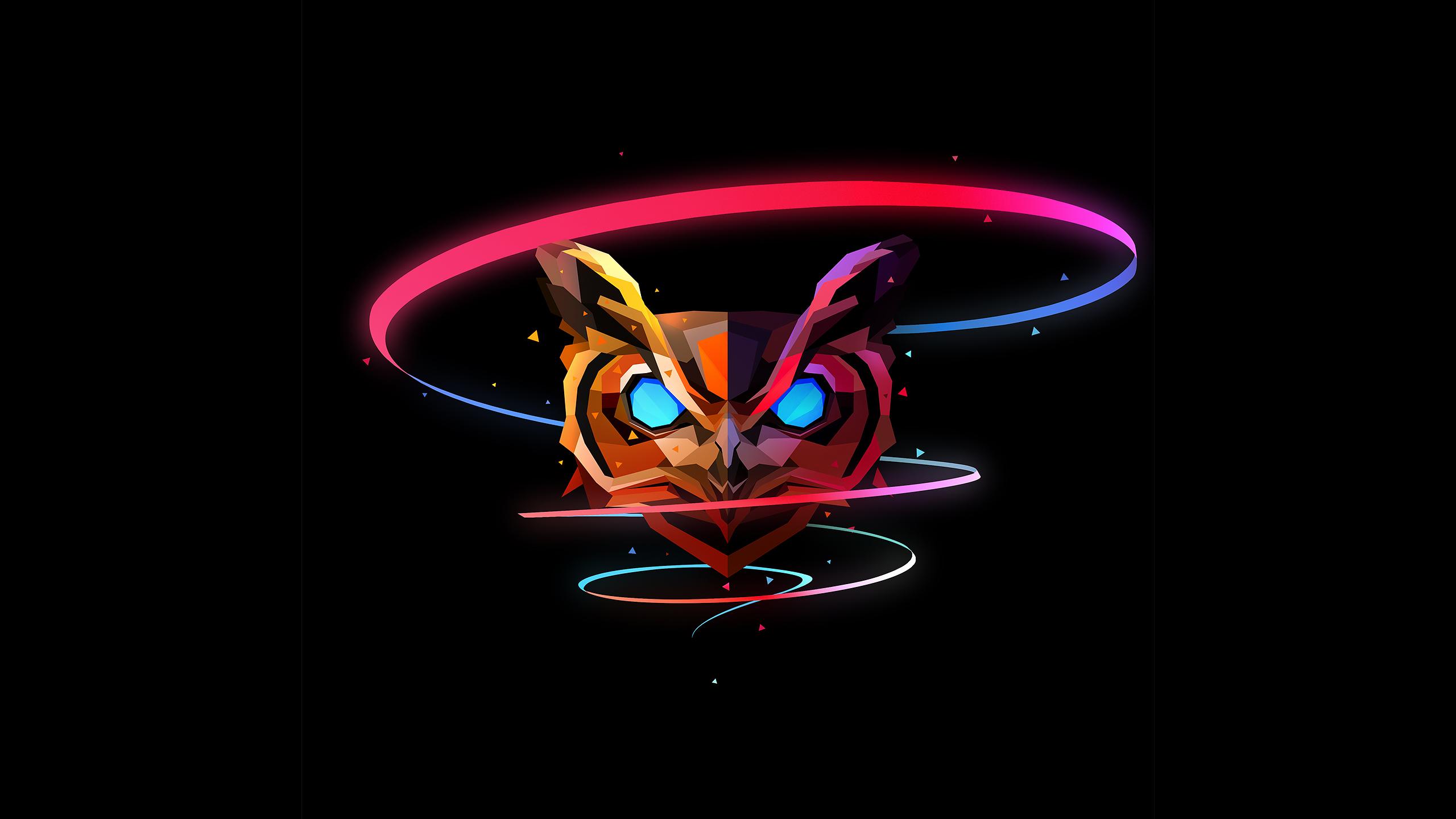 2560x1440 Owl Abstract Art, HD Artist, 4k Wallpaper, Image, Background, Photo and Picture