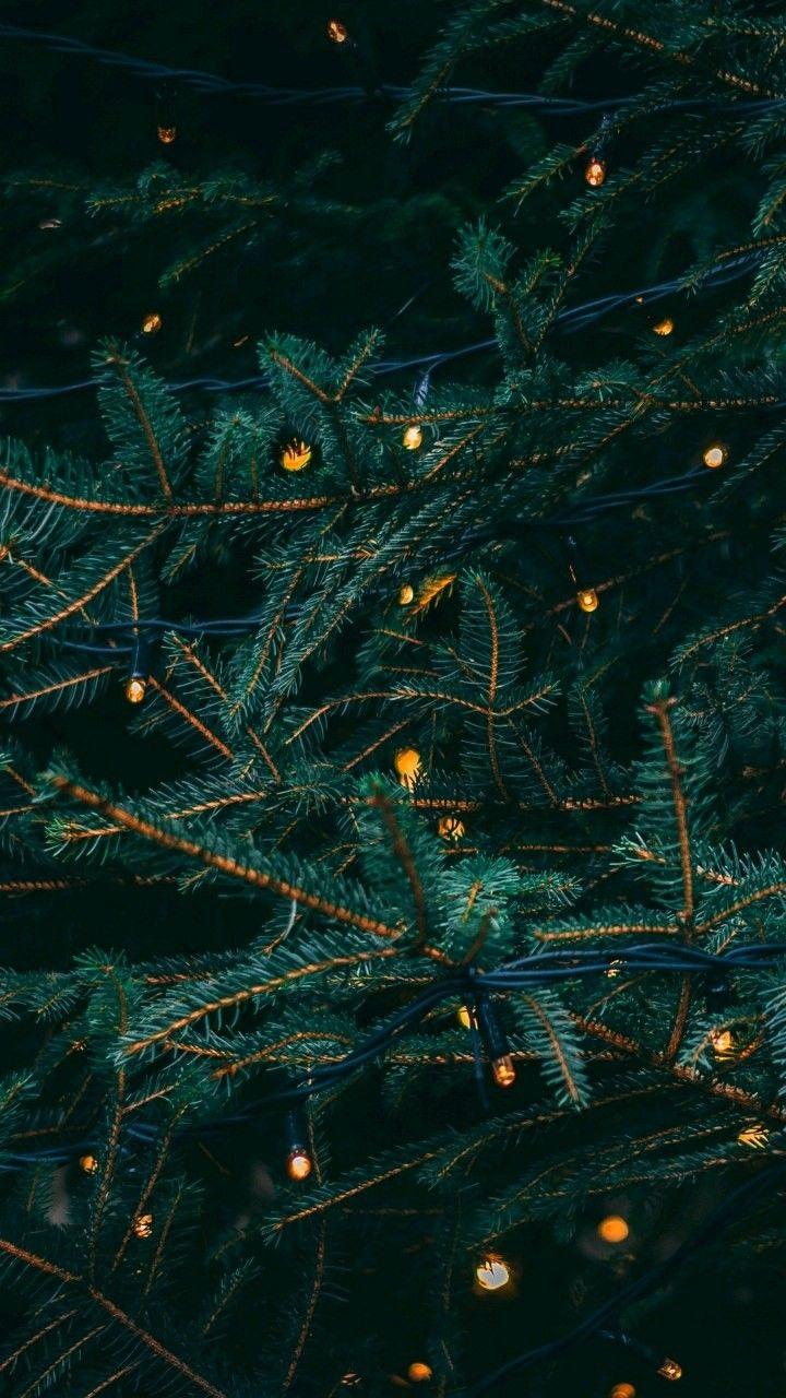 720x1280 HD wallpaper for mobile phone. Wallpaper iphone christmas, Christmas phone wallpaper, Christmas wallpaper