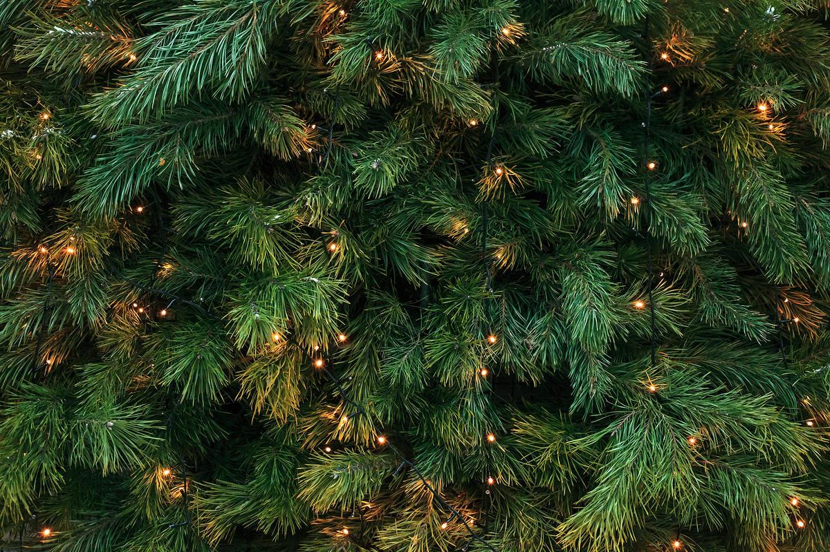1200x799 Holiday zoom background: Christmas cheer, New Year's Eve, and winter scenes