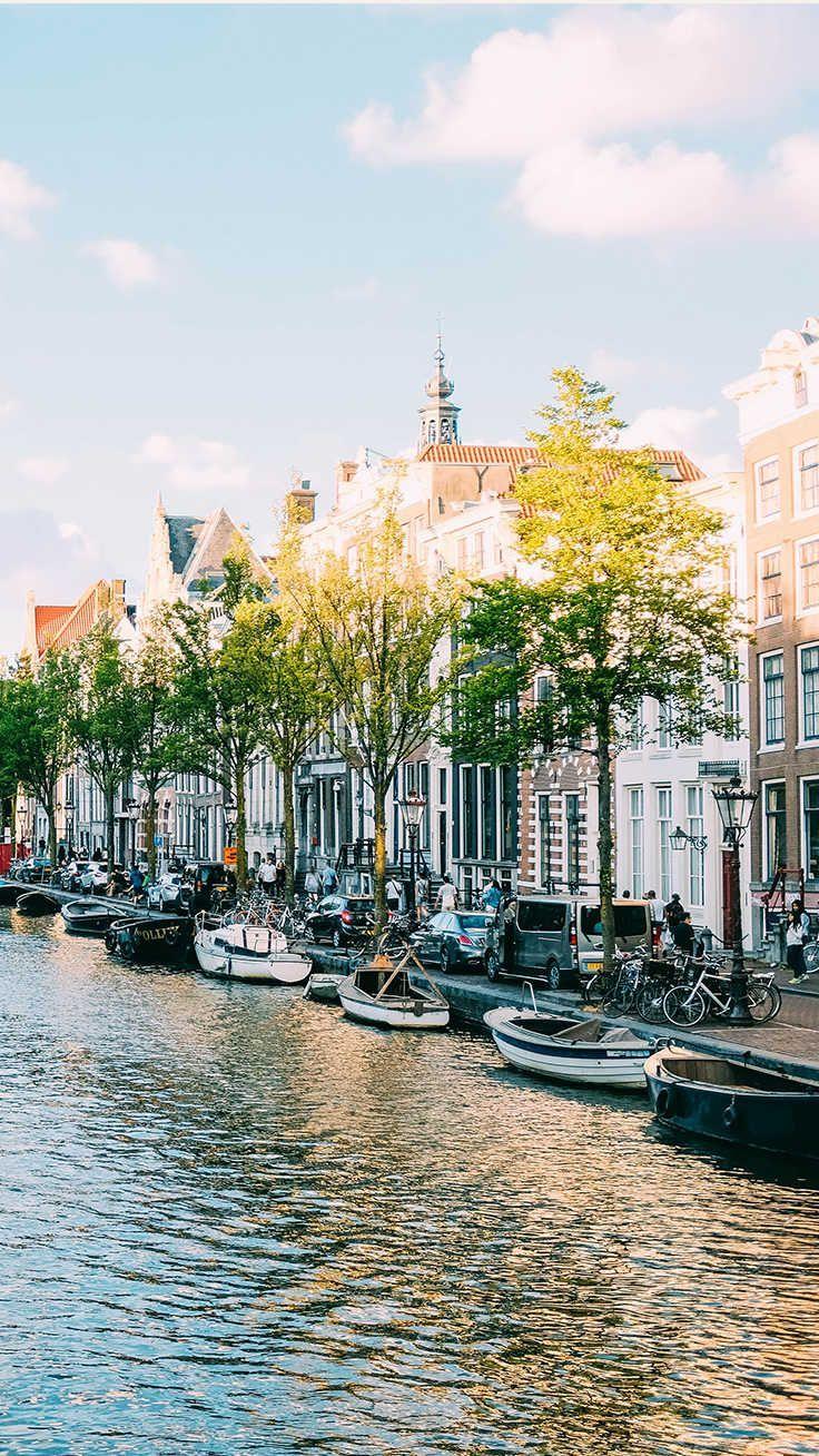 736x1308 Amsterdam Canal Summer Wallpaper