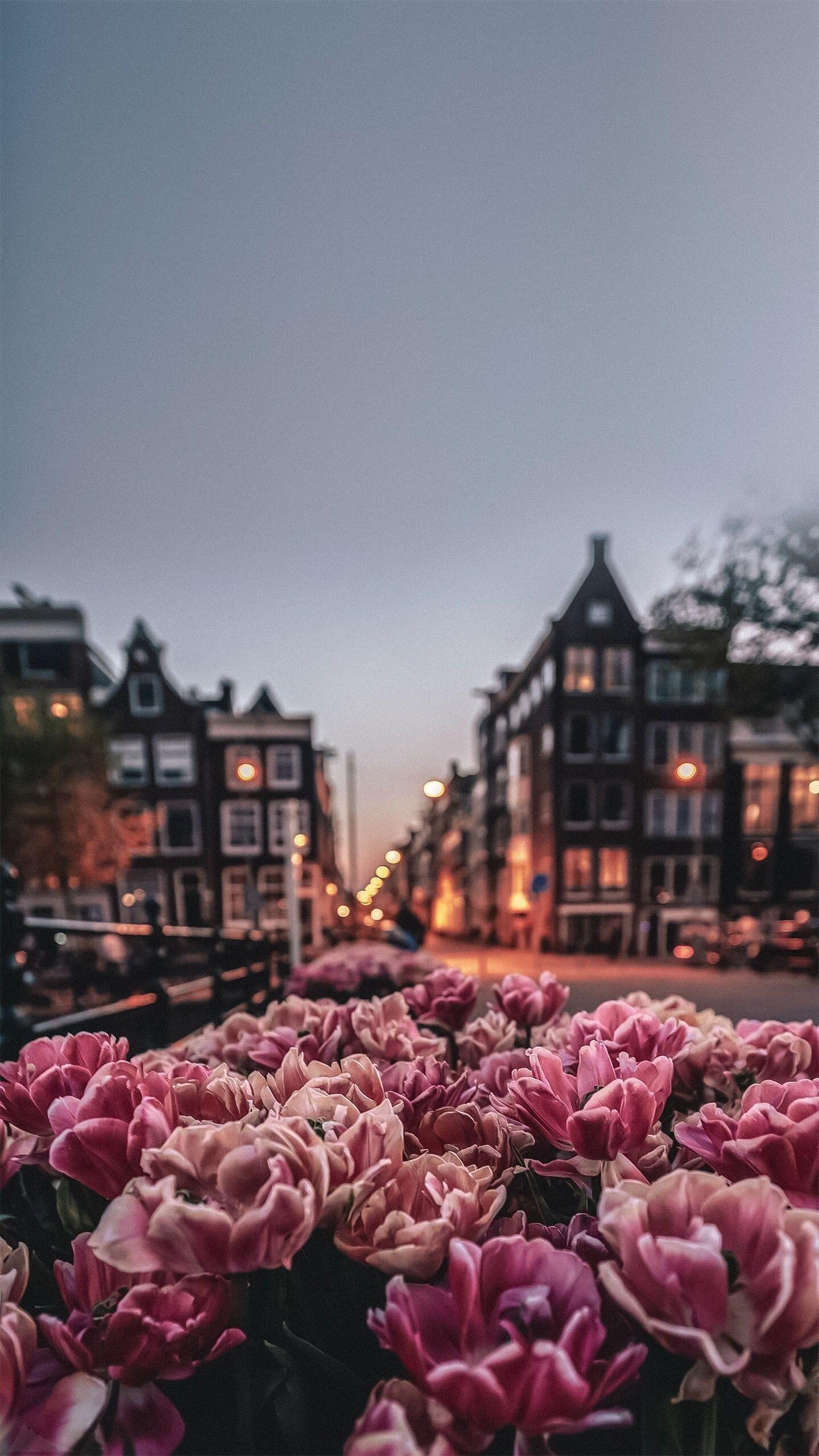 1440x2560 Spring Amsterdam Wallpaper