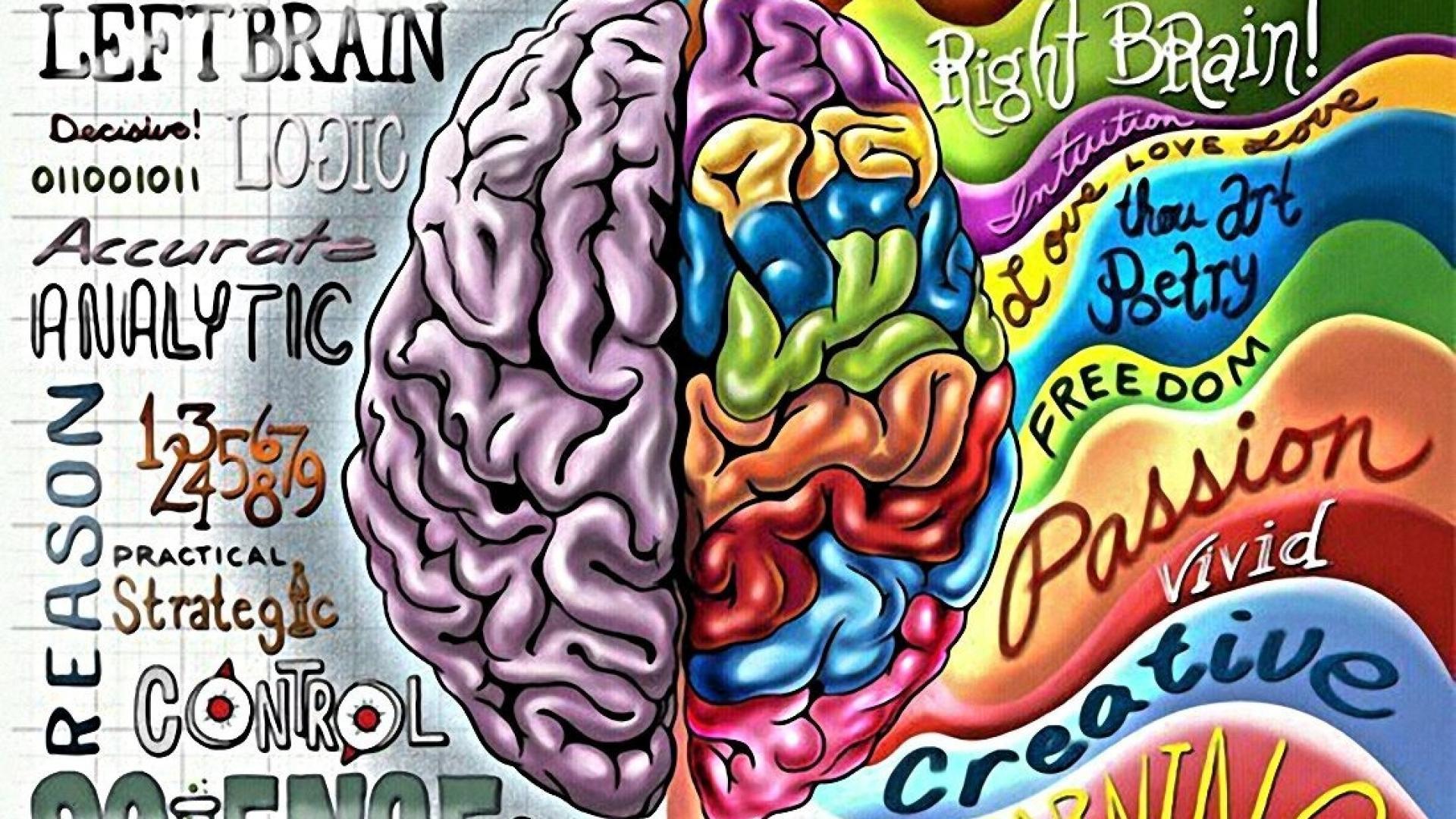 Творчество полушарие. Левое и правое полушарие мозга. 2 Полушария мозга. Творческий мозг.