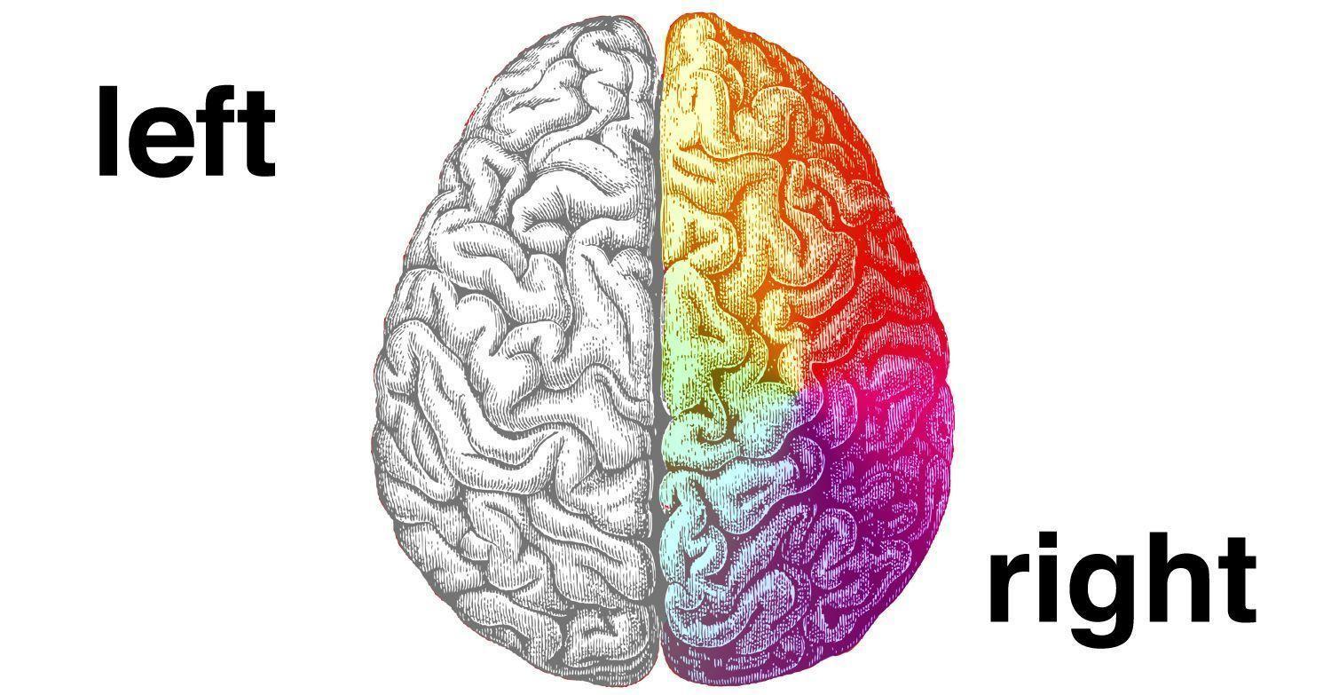 1500x783 Free download Left Brain Right Brain Wallpaper [1500x783] for your Desktop, Mobile & Tablet. Explore Left Brain Right Brain Wallpaper. Left Brain Right Brain Wallpaper, Brain Teaser Wallpaper, Brain Wallpaper HD