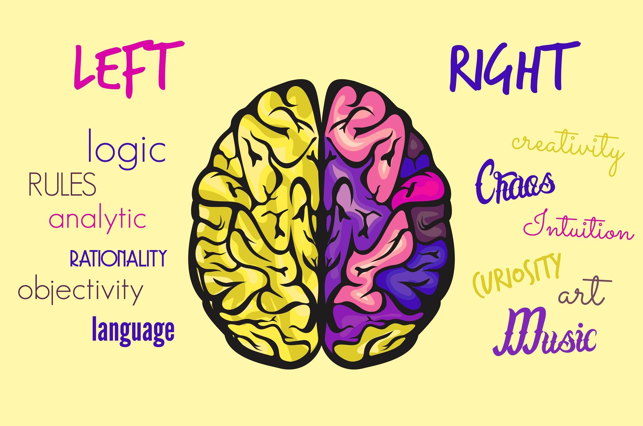 2126x1410 Free download Left Brain Right Brain Wallpaper Download [2126x1410] for your Desktop, Mobile & Tablet. Explore Left Brain Right Brain Wallpaper. Left Brain Right Brain Wallpaper, Brain Teaser Wallpaper