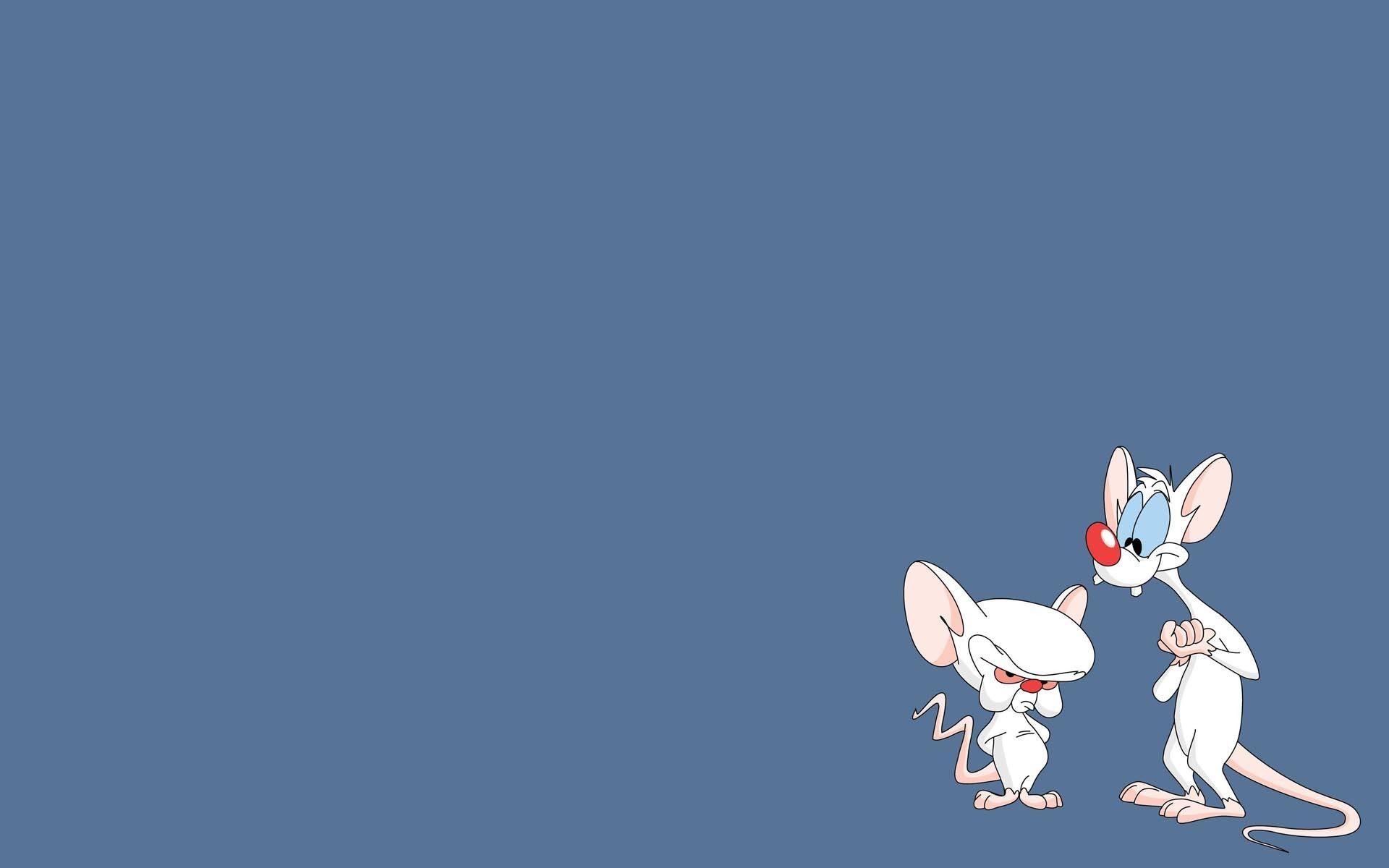 1920x1200 Cool Brain Wallpaper, HD Cool Brain Background