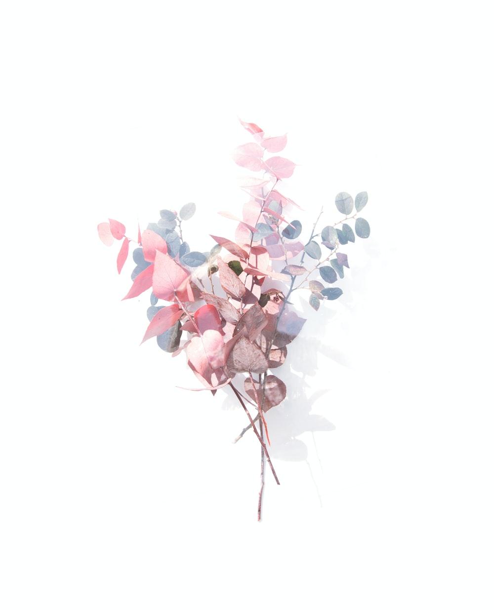 1000x1236 Floral Wallpaper: Free HD Download [HQ]