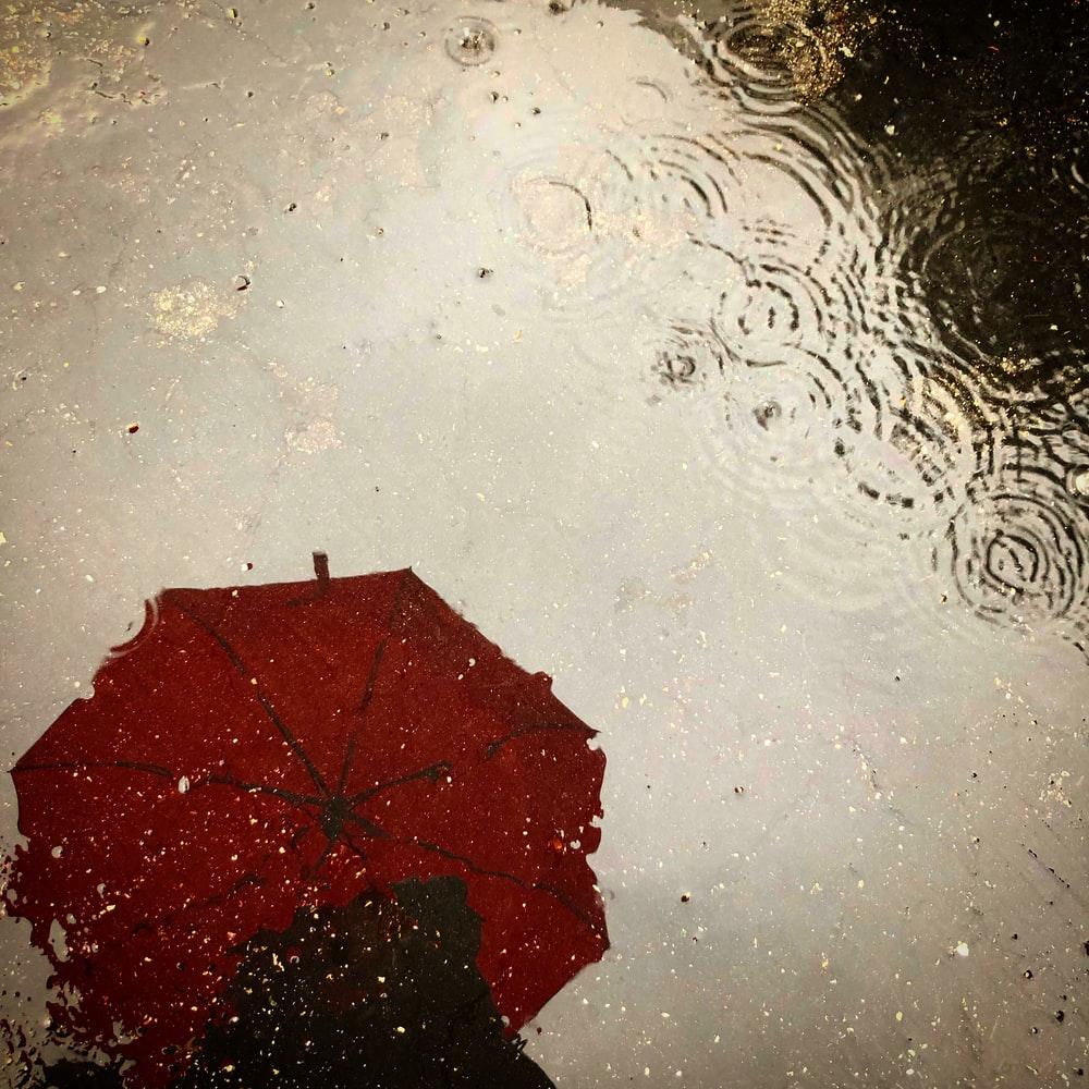 1000x1000 Girl In Rain Picture. Download Free Image