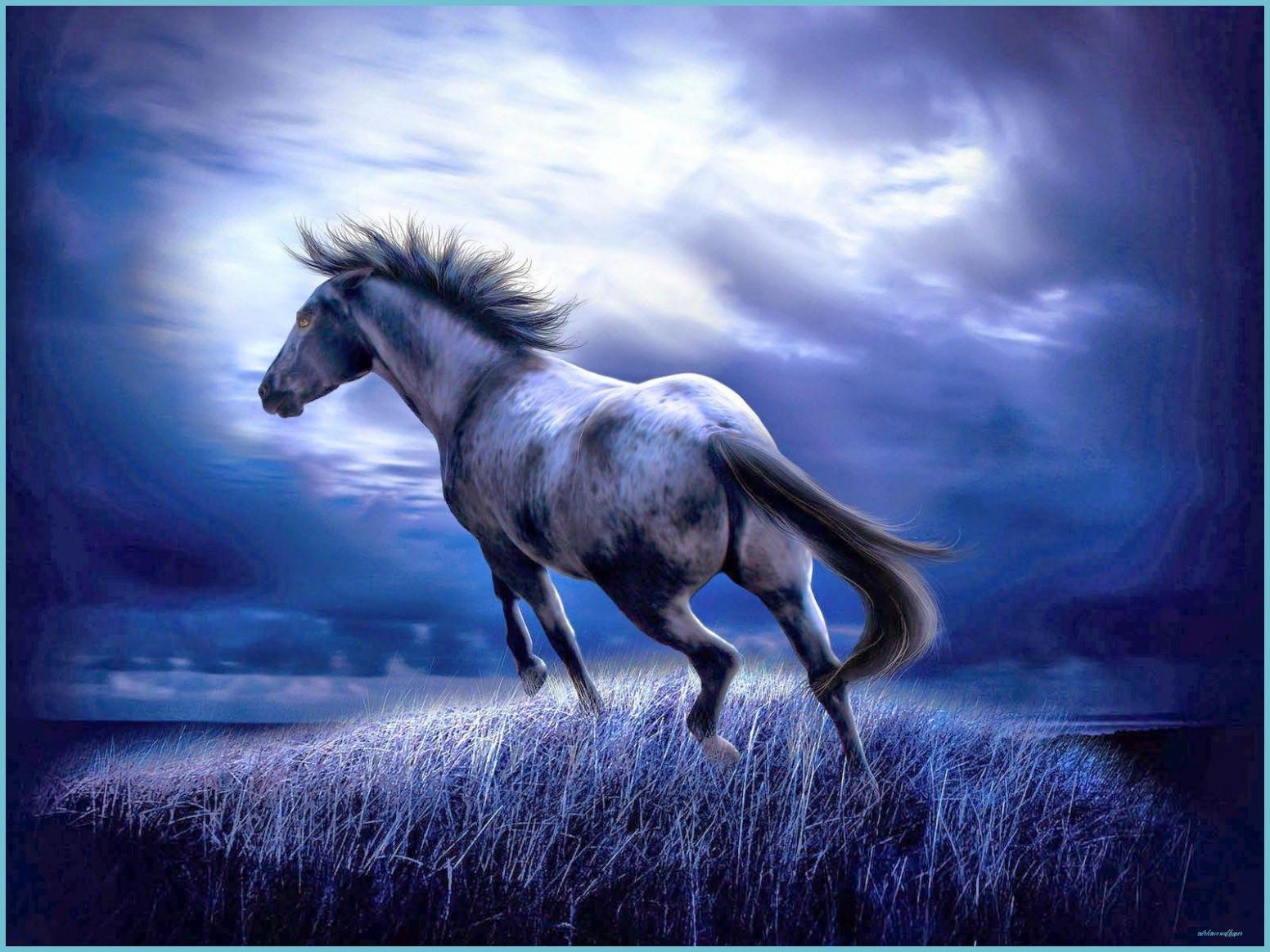 Nice Horse Wallpapers - Top Free Nice Horse Backgrounds - WallpaperAccess