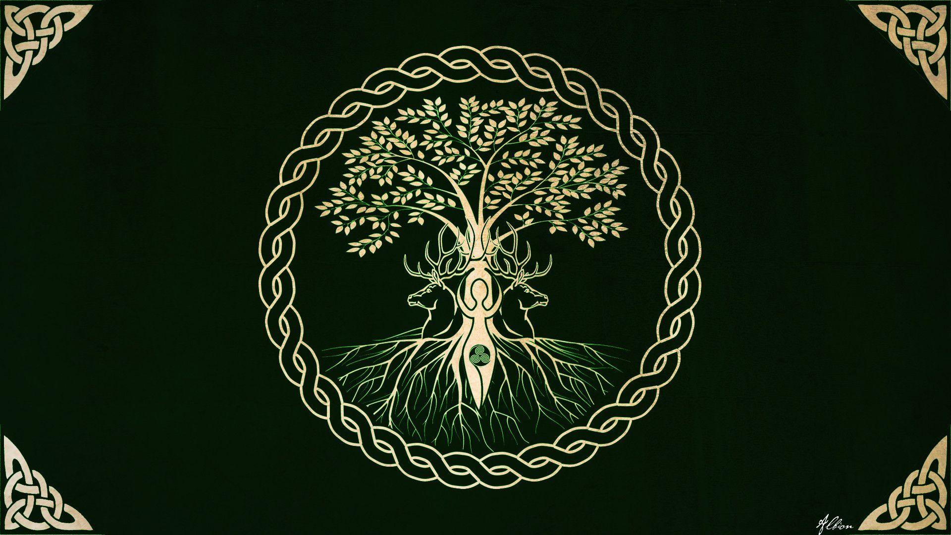 Download Tree Of Life With Reflection Wallpaper  Wallpaperscom