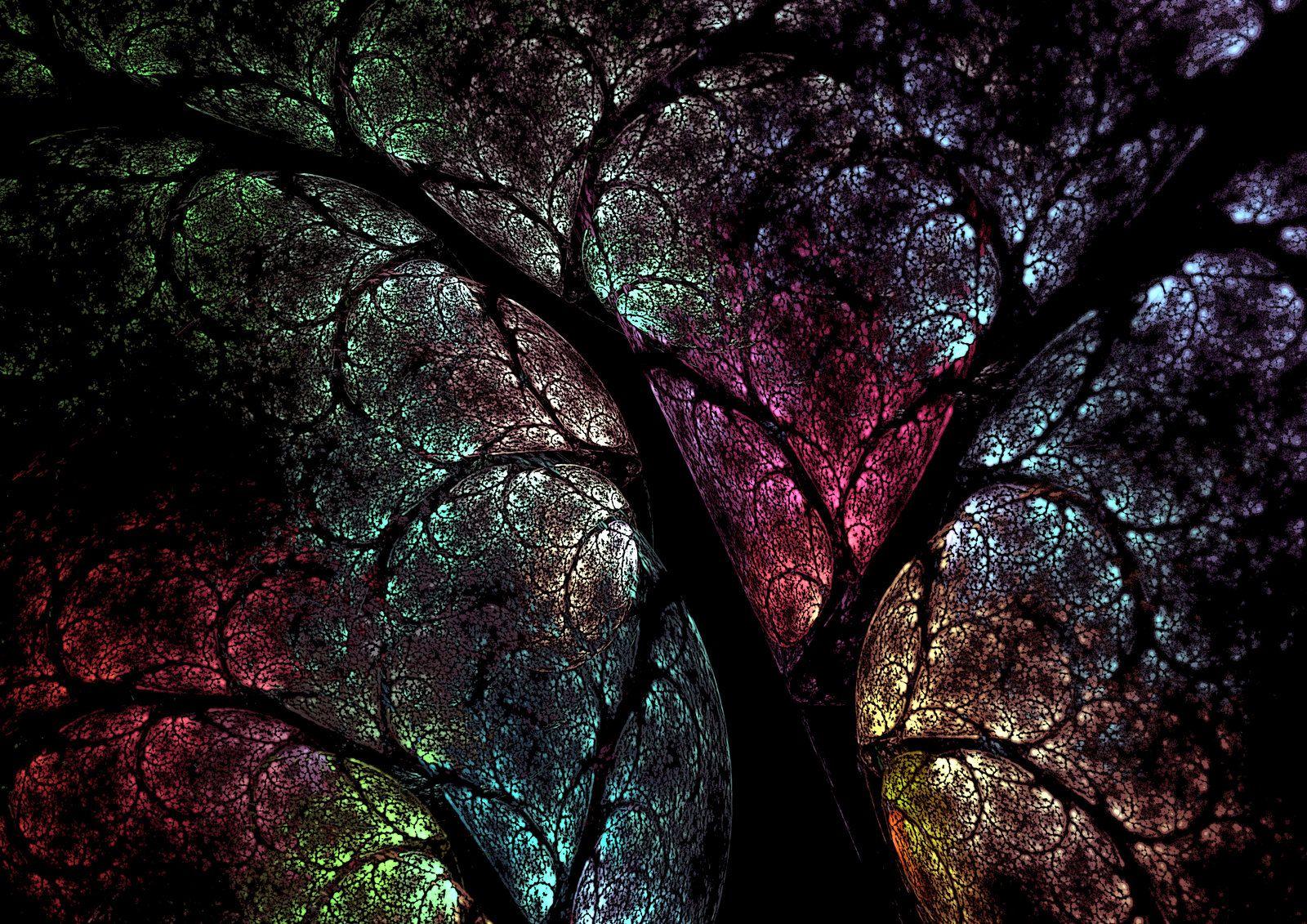 1600x1131 Go Back > Image For > Celtic Tree Of Life Wallpaper. Tree of life picture, Celtic tree of life, Wallpaper tree of life