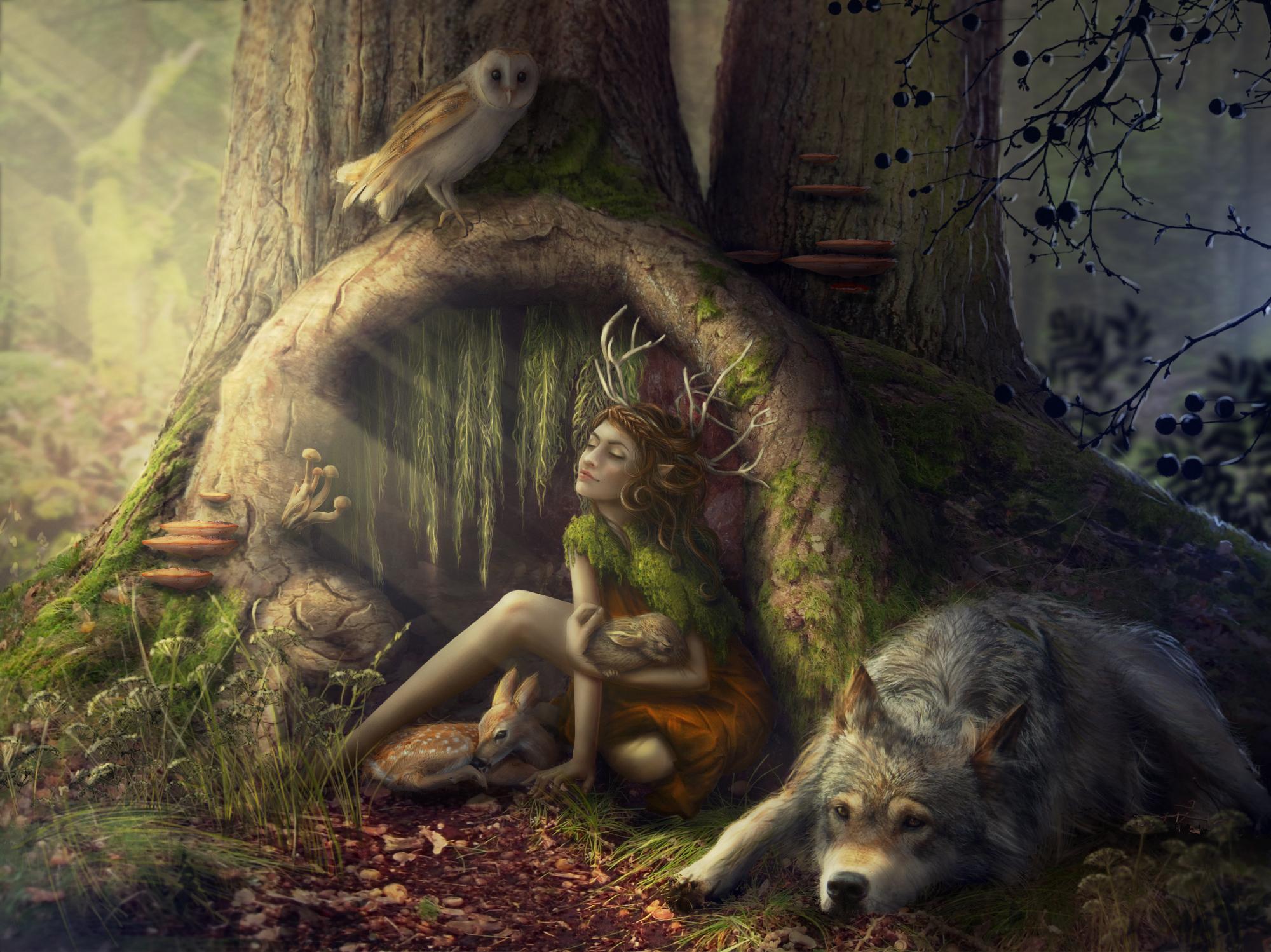 2000x1498 image wolf Girls Fantasy Fantastic world 2000x1498