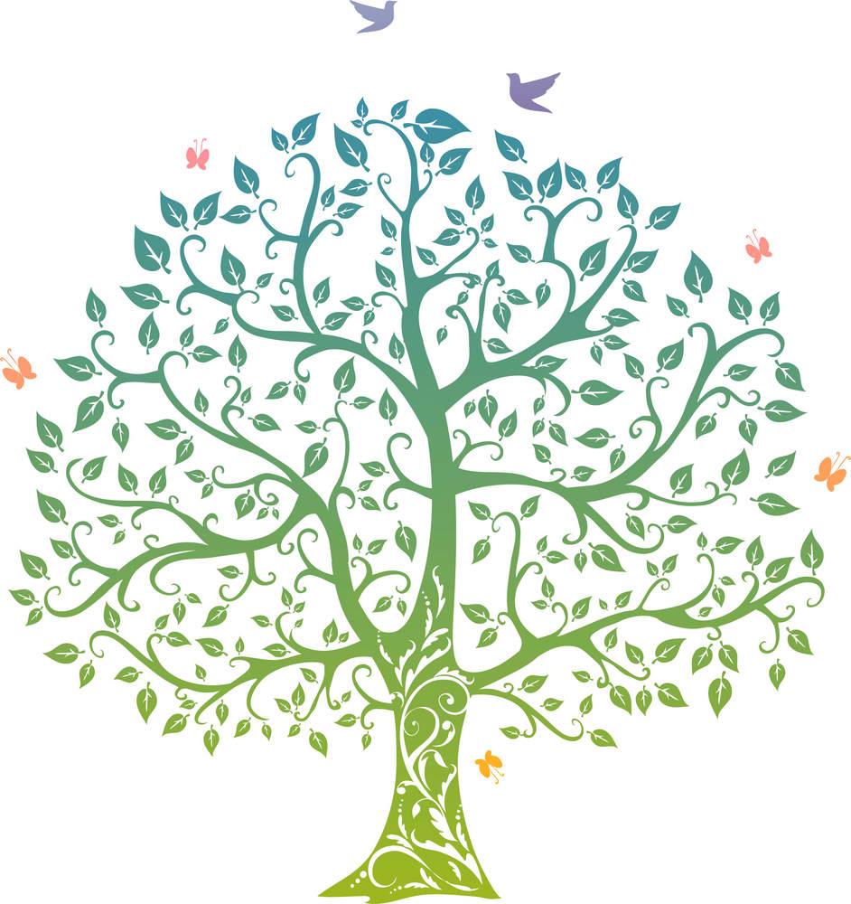 942x1000 The Tree Of Life