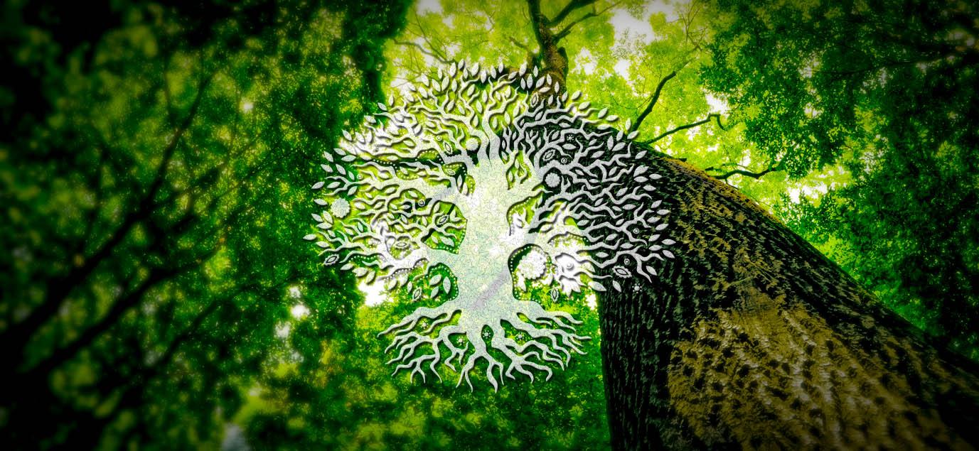 1377x635 Celtic Tree of Life; the Meaning and History of the Ancient Symbol Elegance JewelryCeltic Elegance Jewelry