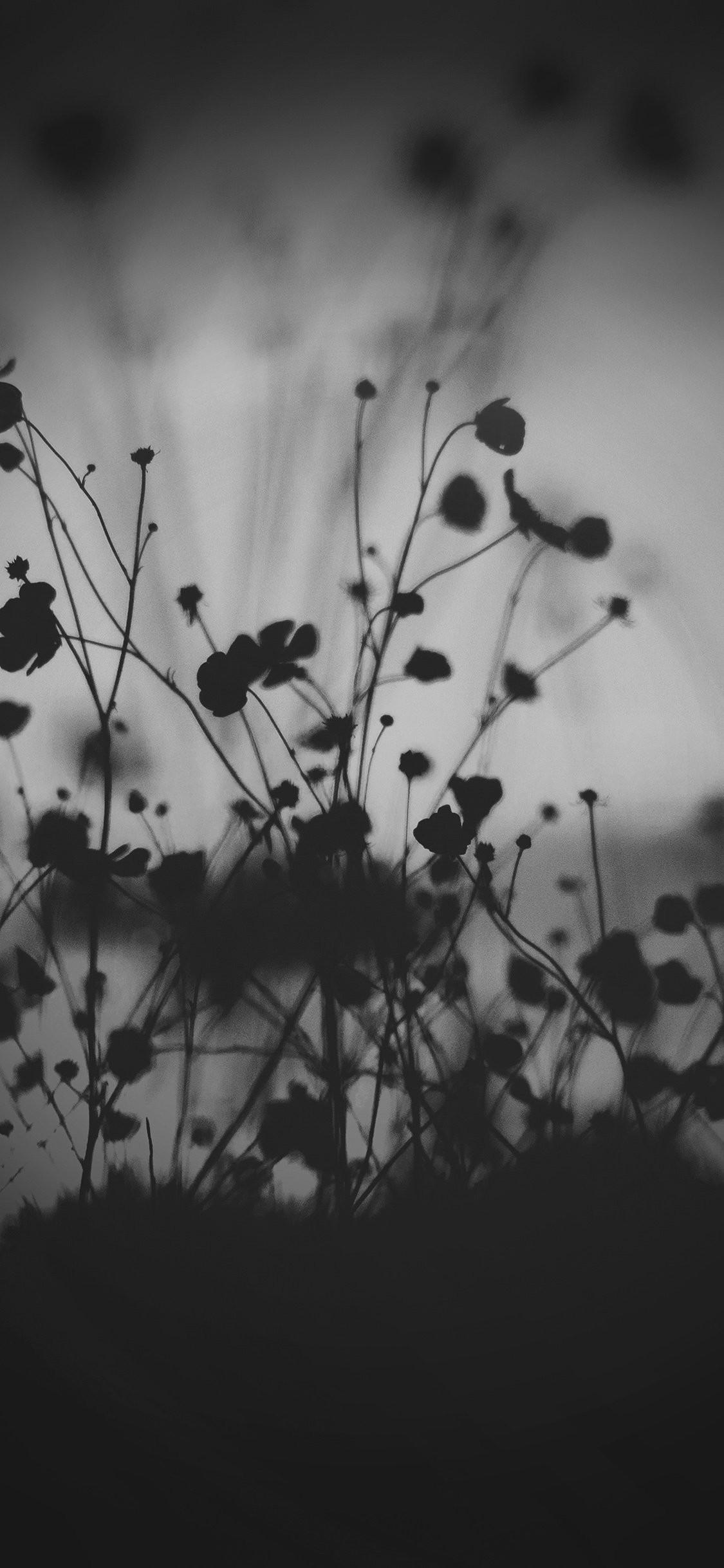 Dark Aesthetic Floral Wallpapers Top Free Dark Aesthetic Floral Backgrounds Wallpaperaccess