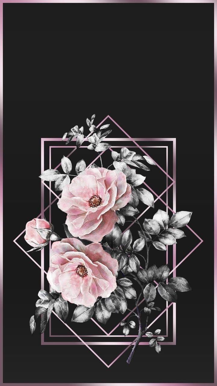 720x1280 Aesthetic Black Flowers Image Wallpaper Portal