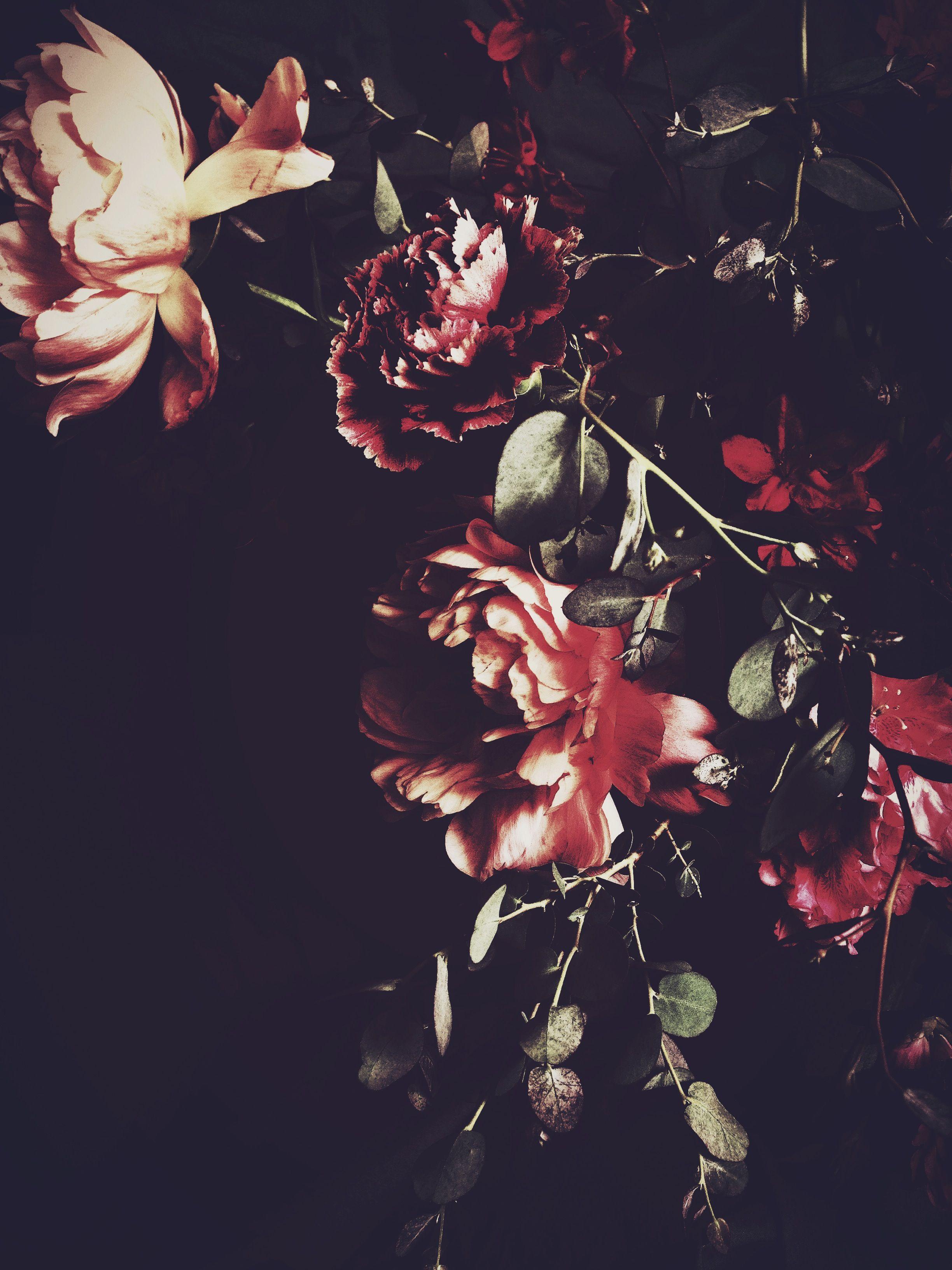 2448x3264 Dark Flower Aesthetic