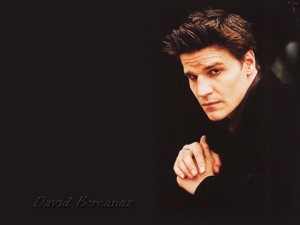 1024x768 David Boreanaz image David Boreanaz HD wallpaper and background