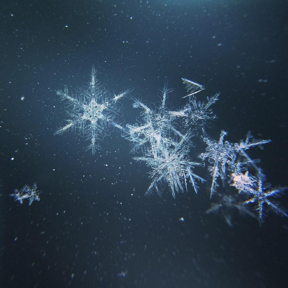 1000x1000 Best Snowflake Picture [HD]. Download Free Image