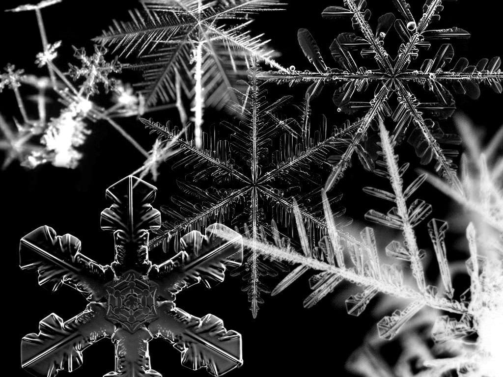1024x768 FREE Snowflakes Wallpaper in PSD