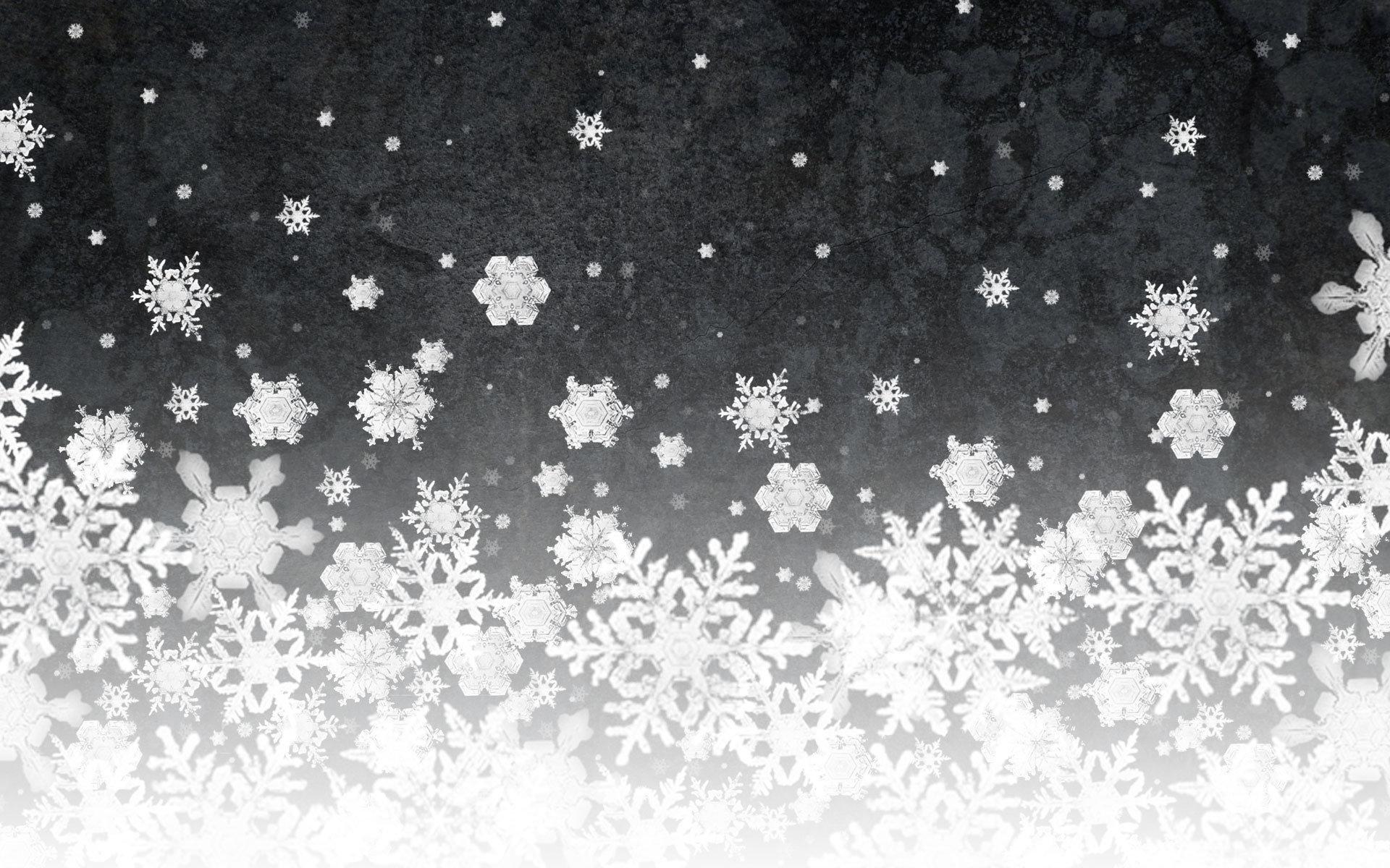 1920x1200 Snowflake wallpaper HD for desktop background