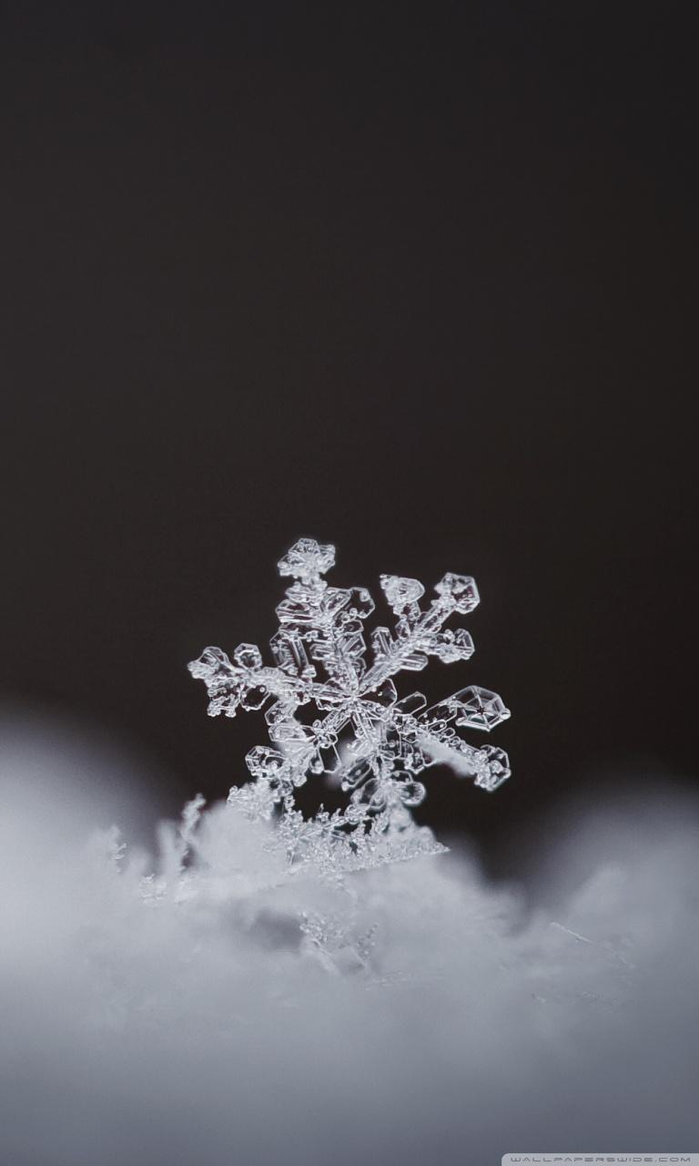 768x1280 Snowflake Desktop Background