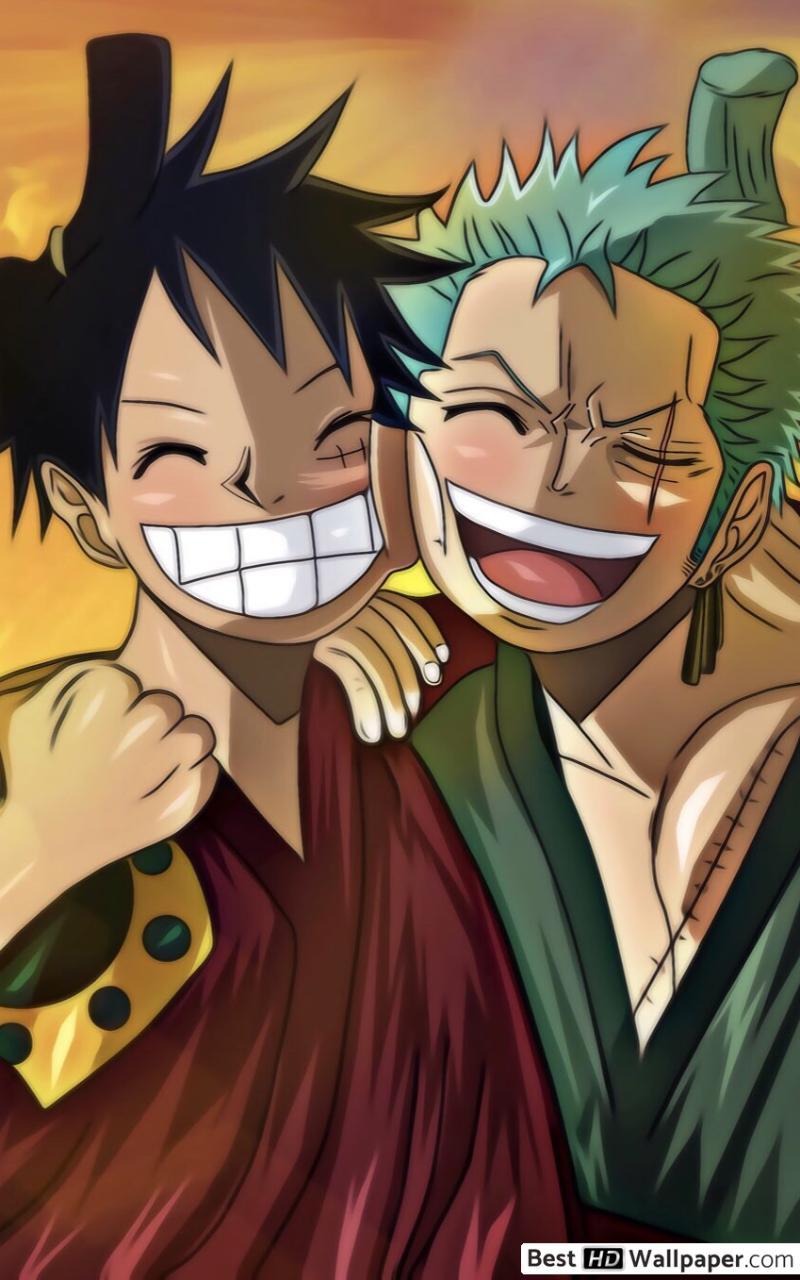 800x1280 One Piece Roronoa, Monkey D. Luffy HD wallpaper download