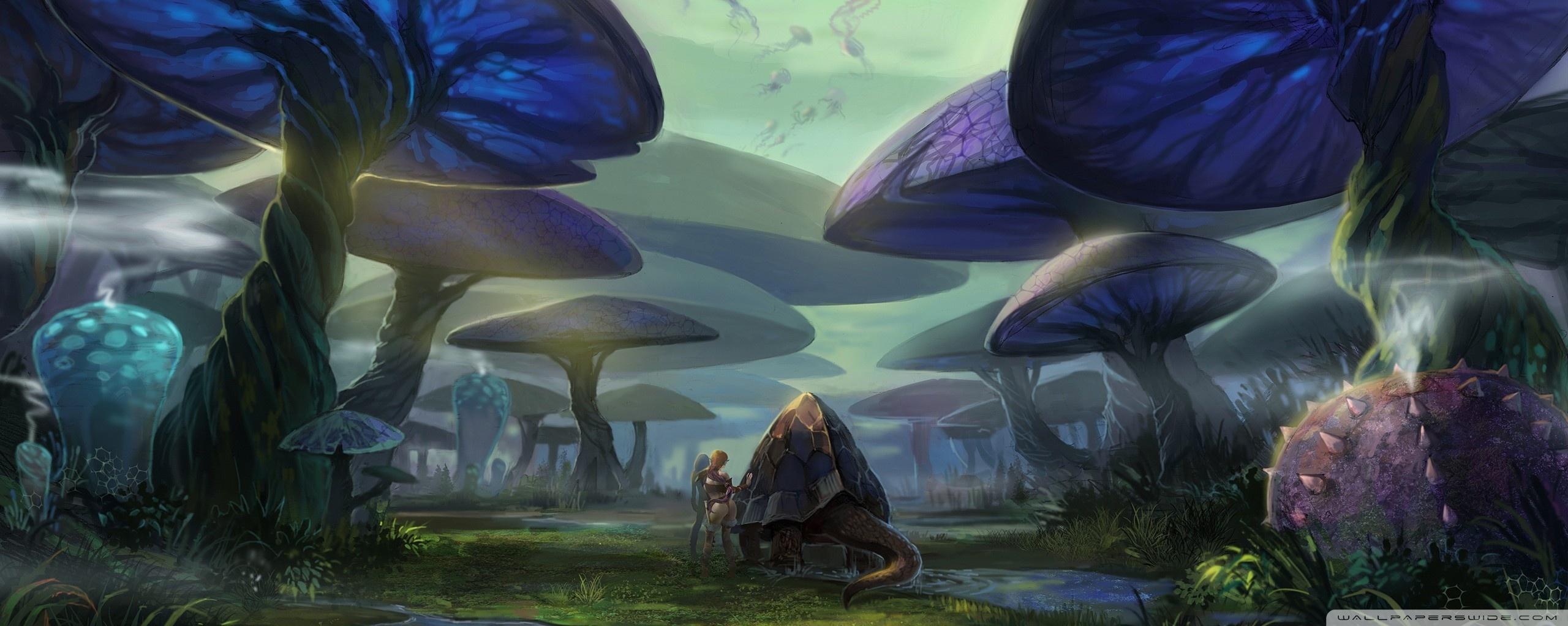 2560x1024 Mushroom Forest Ultra HD Desktop Background Wallpaper for 4K UHD TV : Multi Display, Dual Monitor : Tablet
