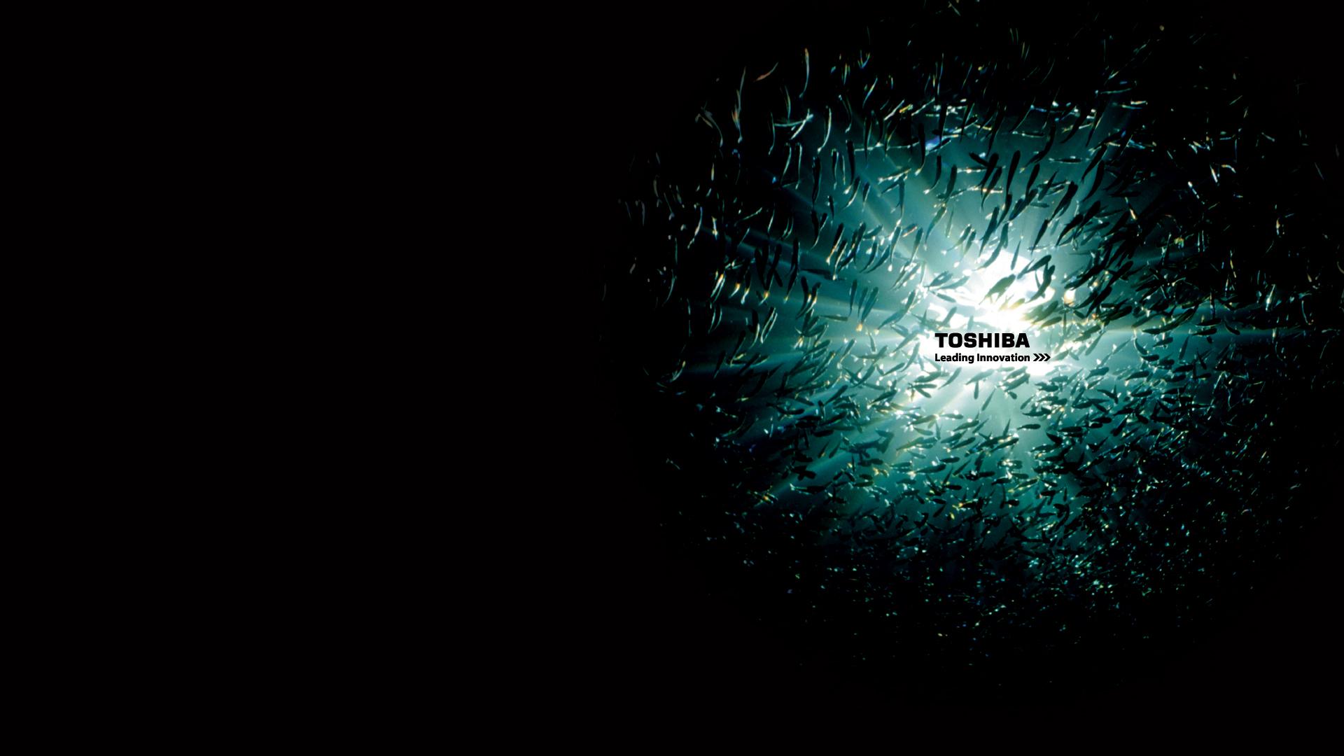 1920x1080 Toshiba Background Picture