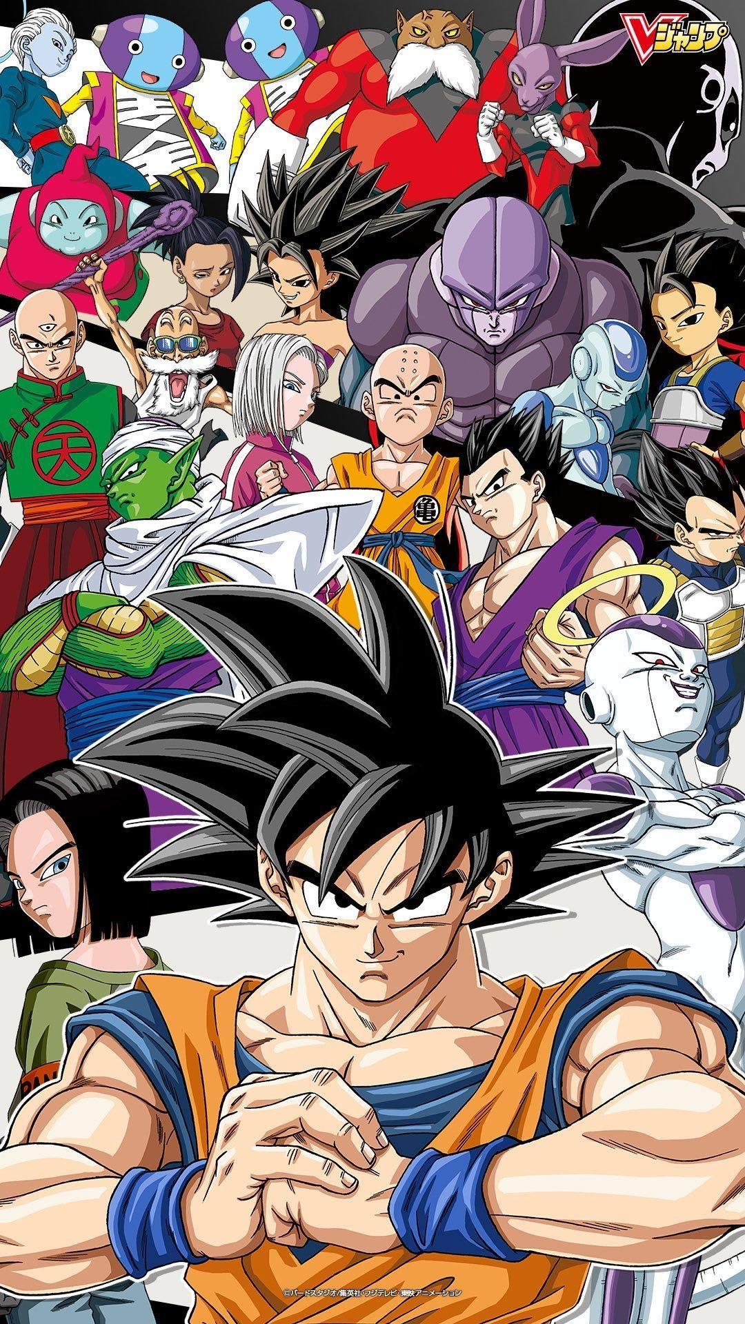 Dragon Ball Super Universe 6 Wallpapers - Top Free Dragon Ball Super  Universe 6 Backgrounds - WallpaperAccess