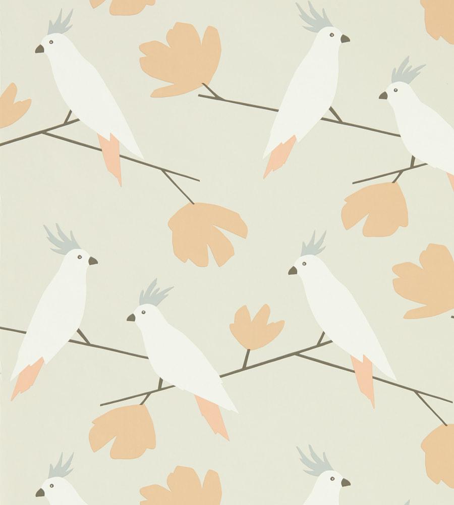 900x1000 Scion Birds Wallpaper
